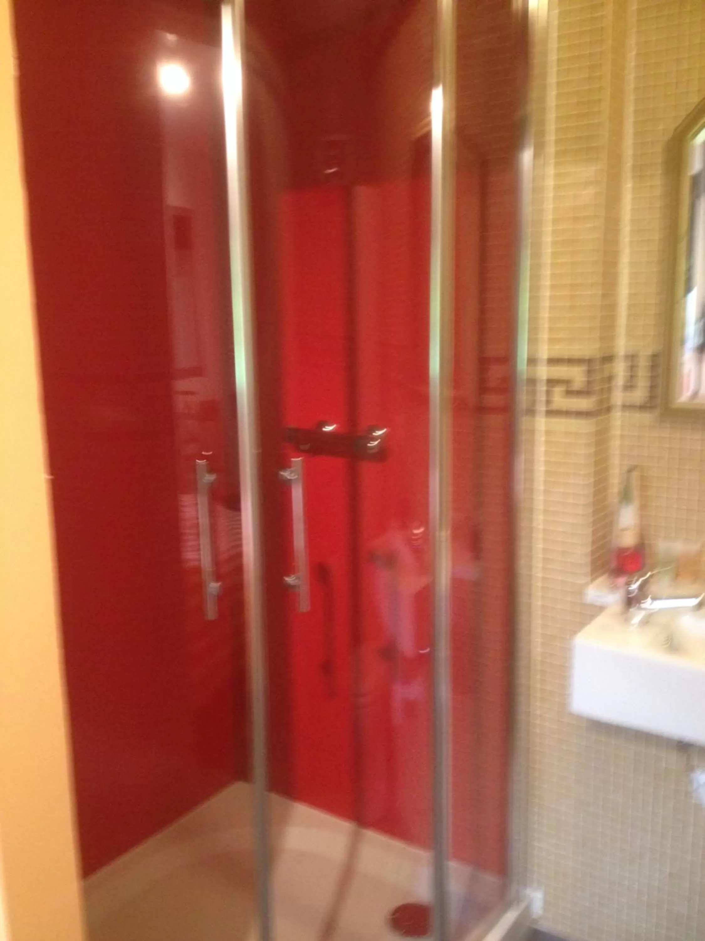 Shower in B&B Aalsters-genot