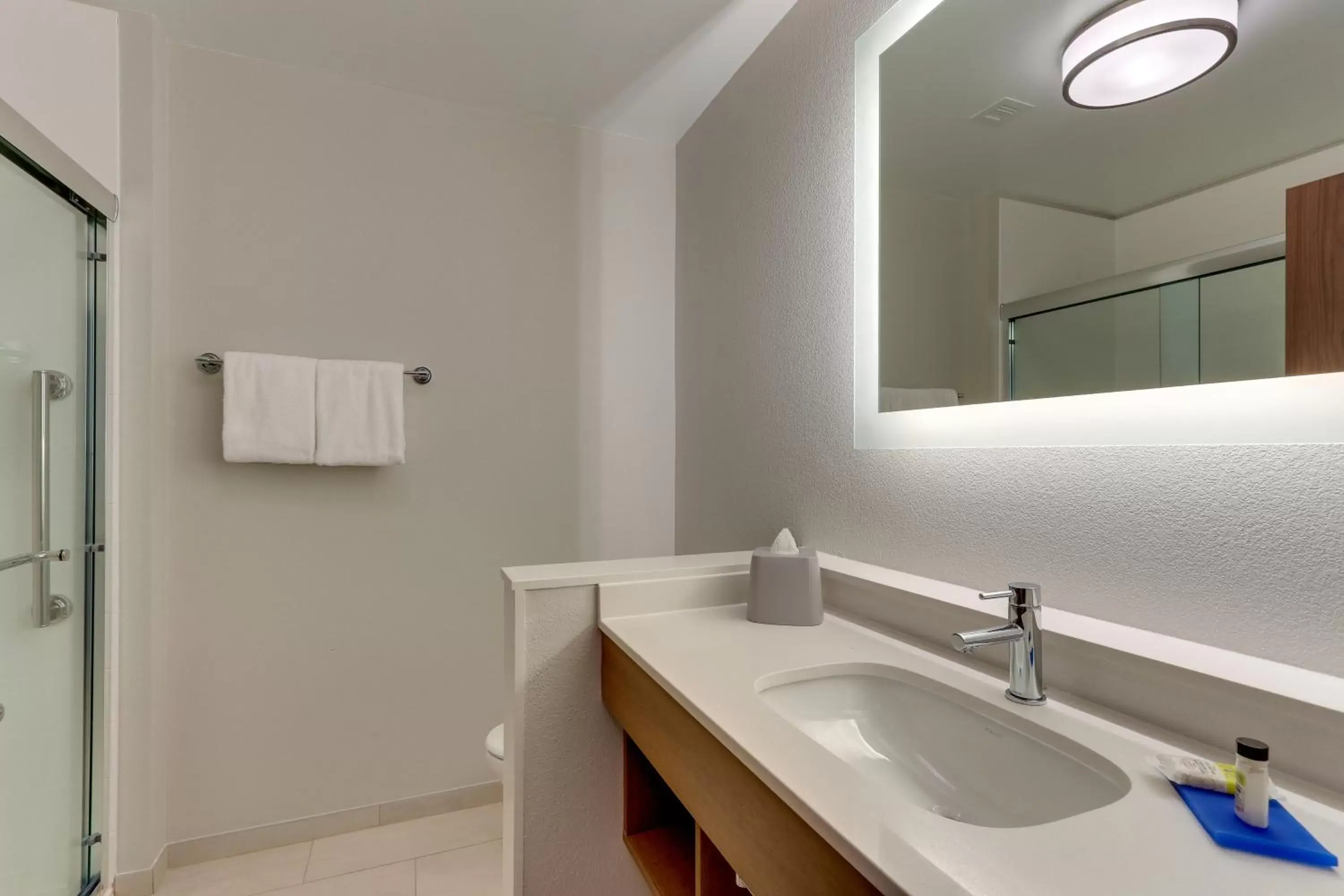 Bathroom in Holiday Inn Express & Suites - Roanoke – Civic Center