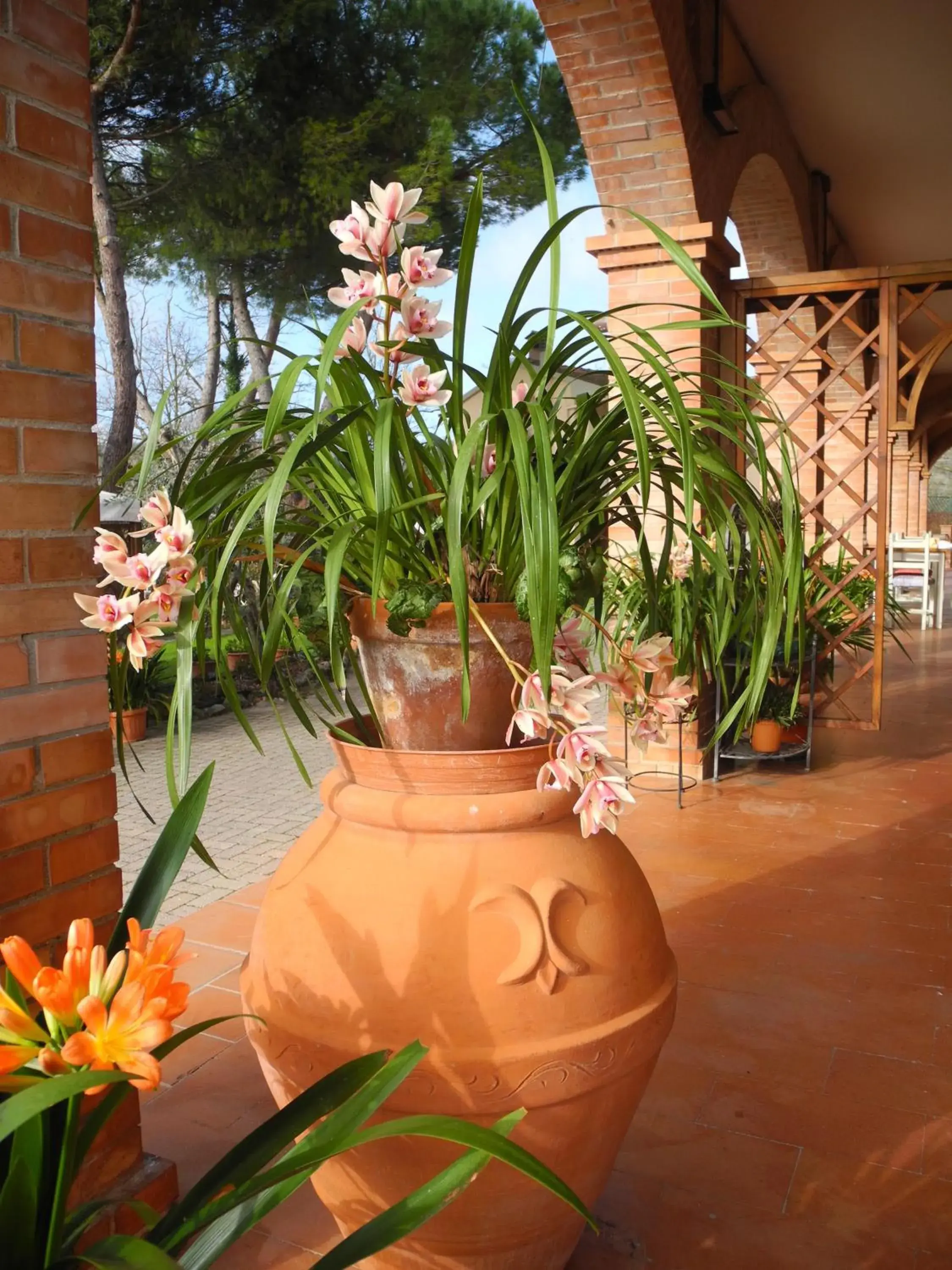 Garden in Hotel Le Renaie