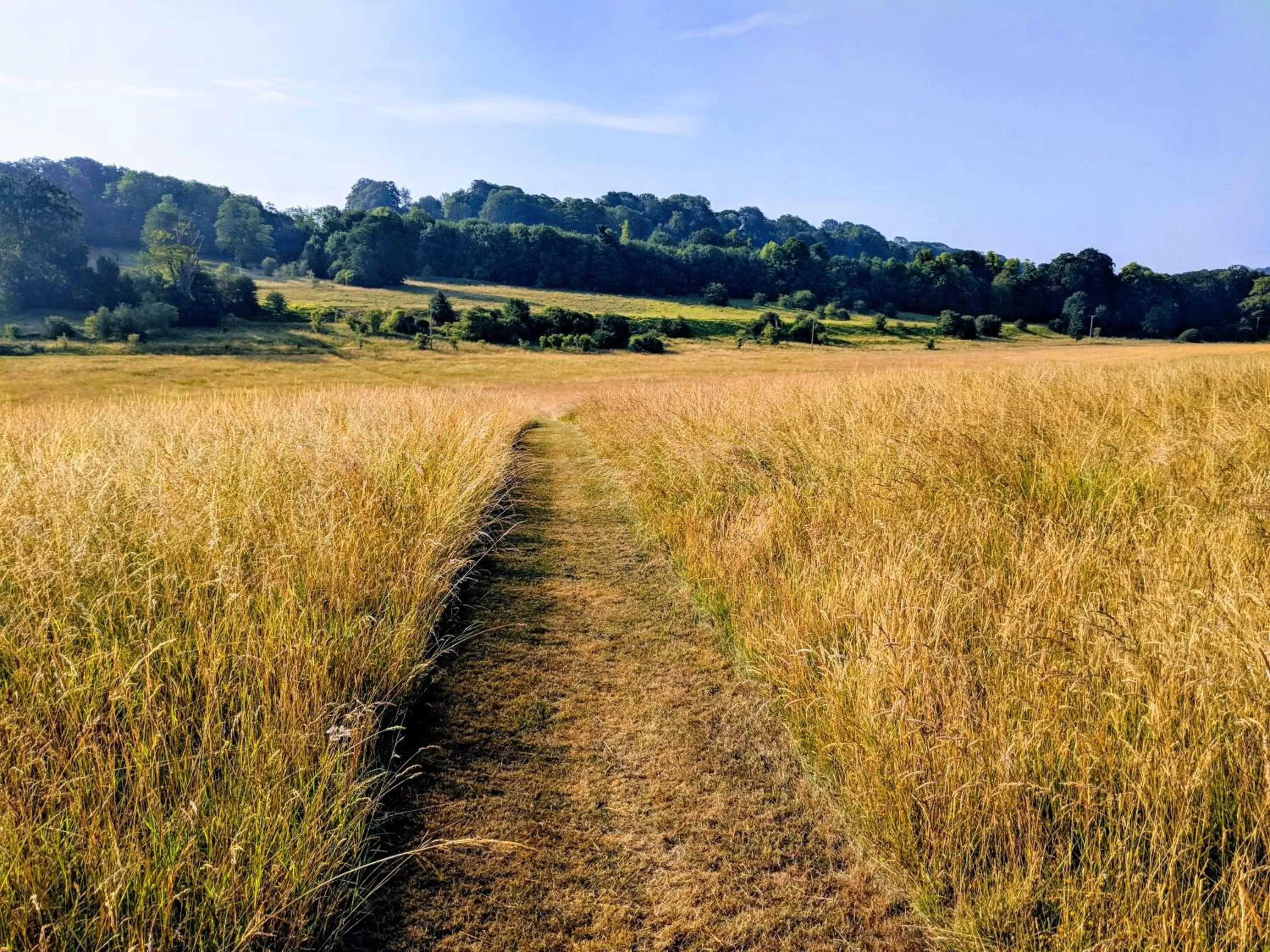 Garden in Broome Park Hotel