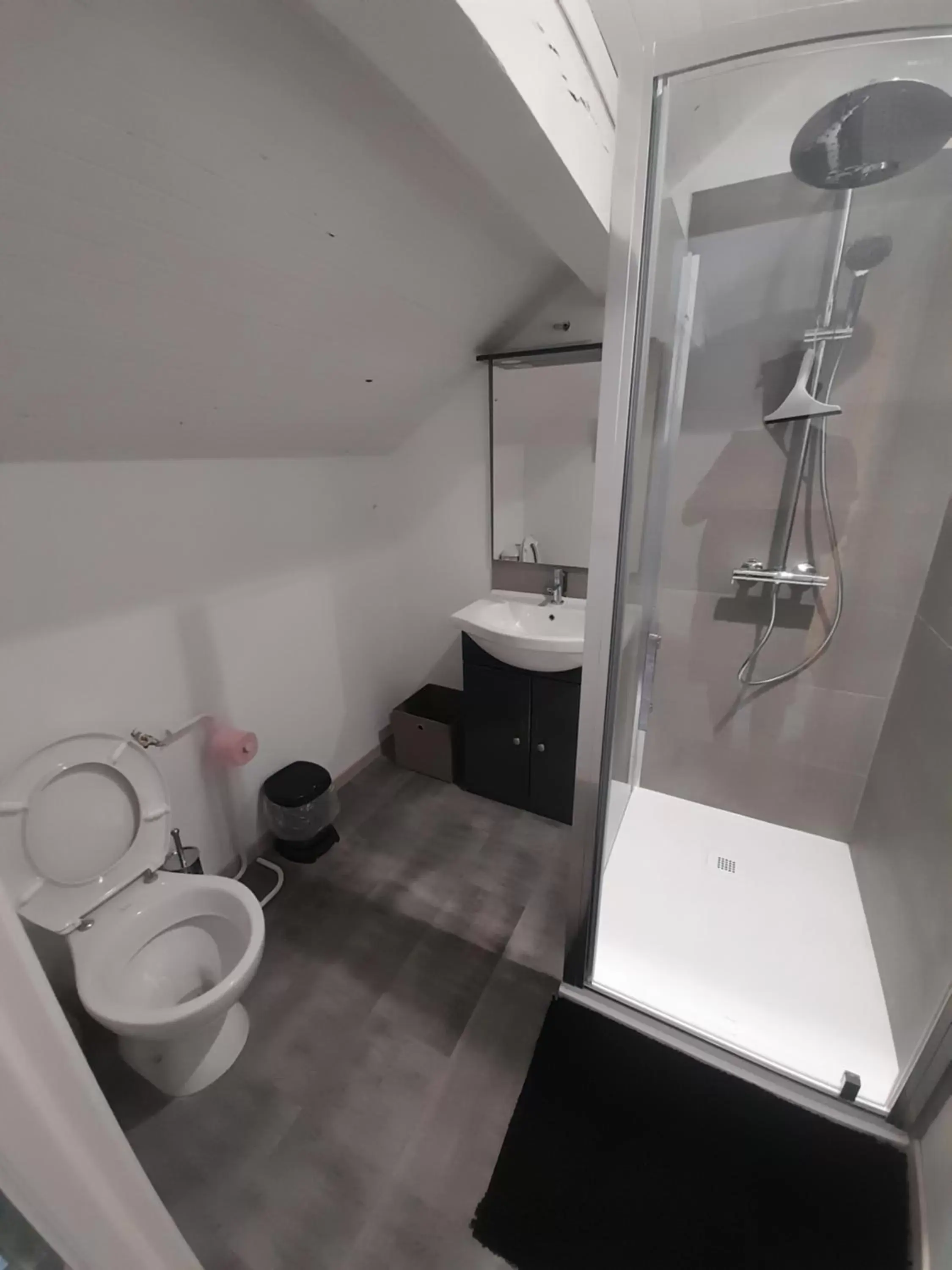 Toilet, Bathroom in Villa Détente Dauphinoise