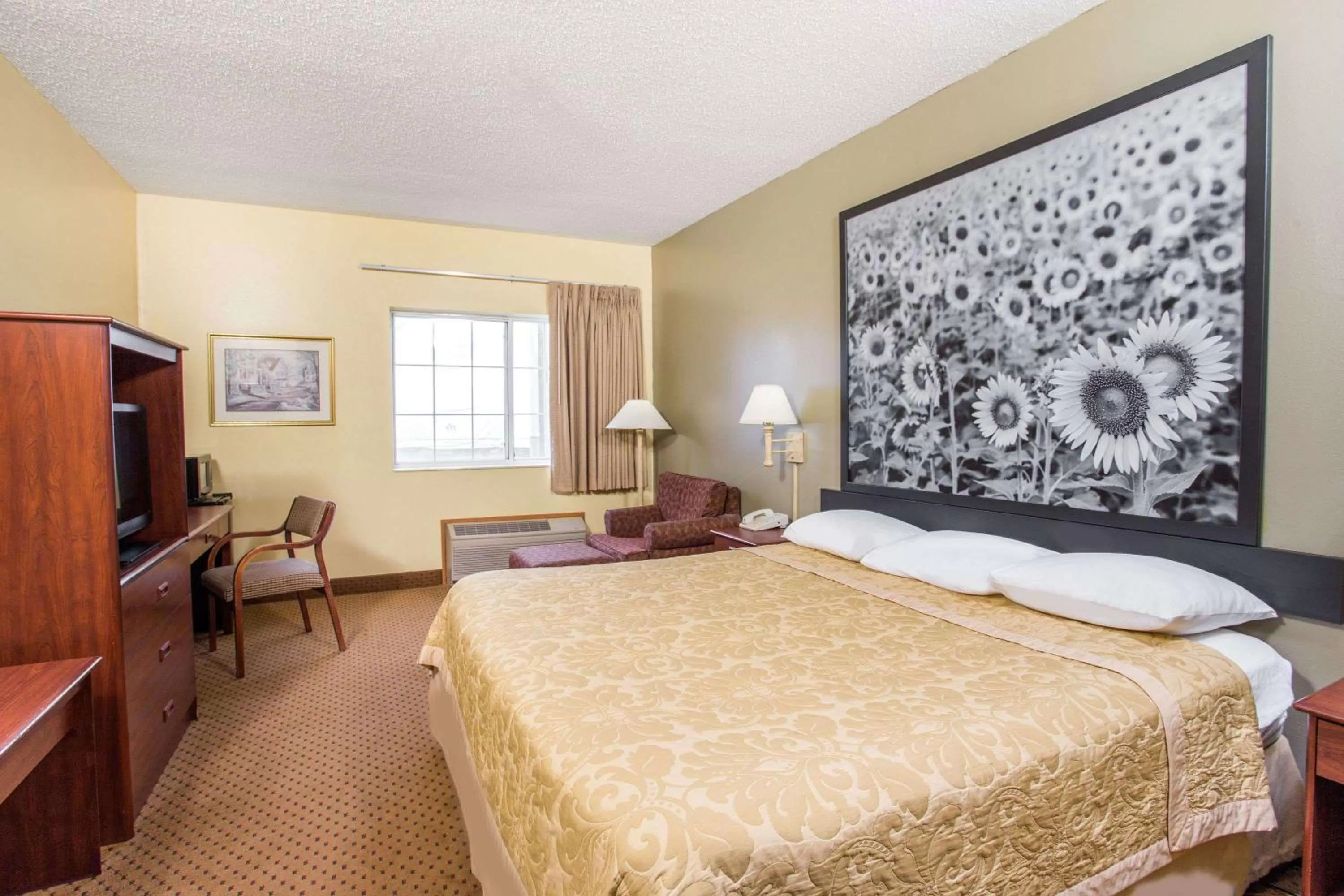Photo of the whole room in Super 8 by Wyndham Osage