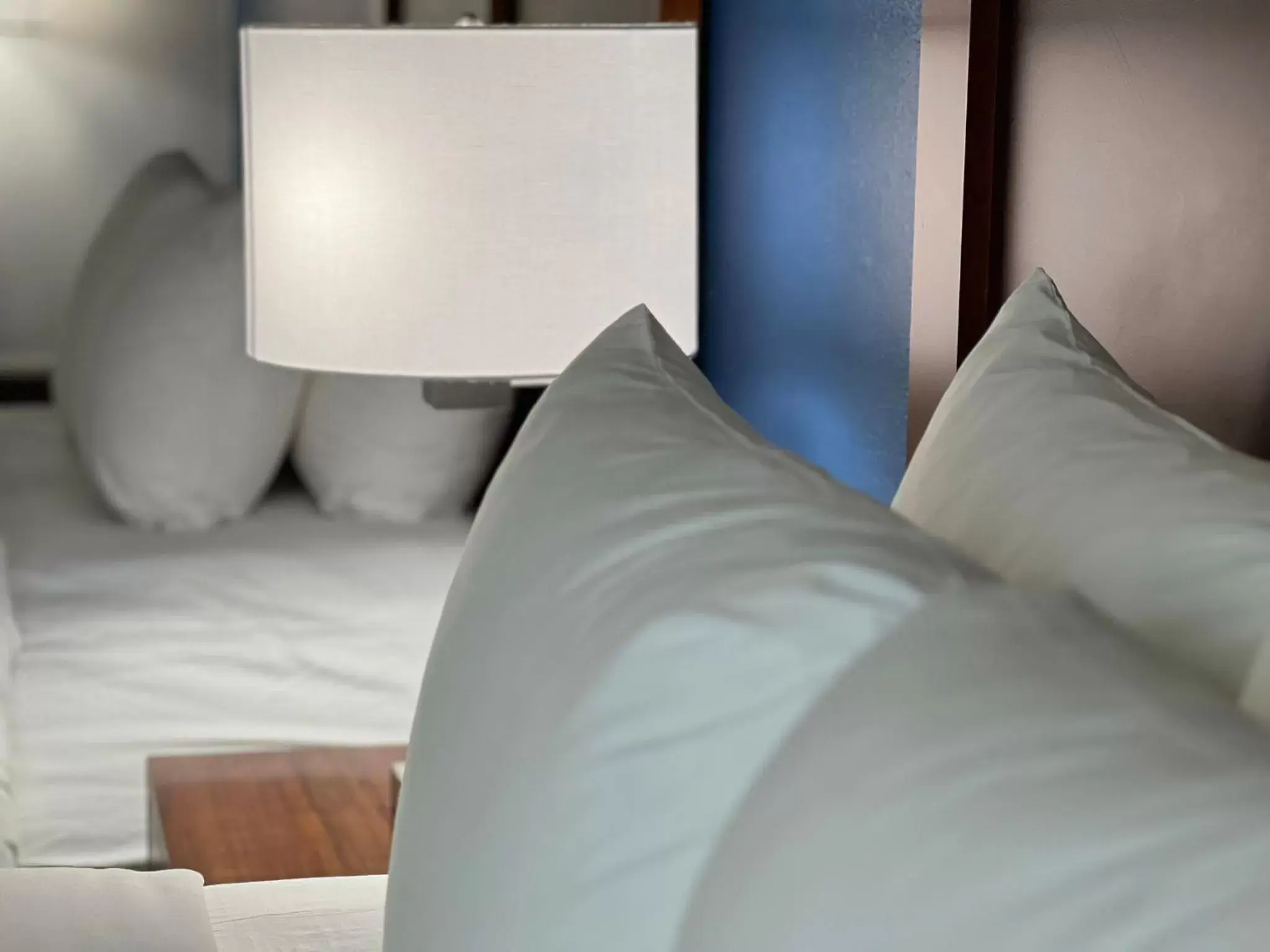 Bedroom, Bed in Comfort Suites Louisville East