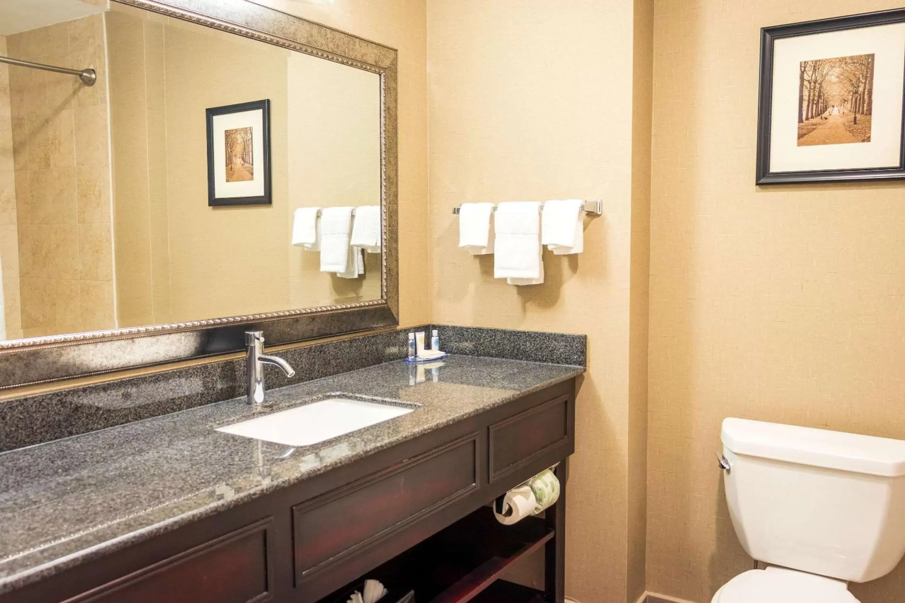 Bathroom in Comfort Inn & Suites Plainville-Foxboro