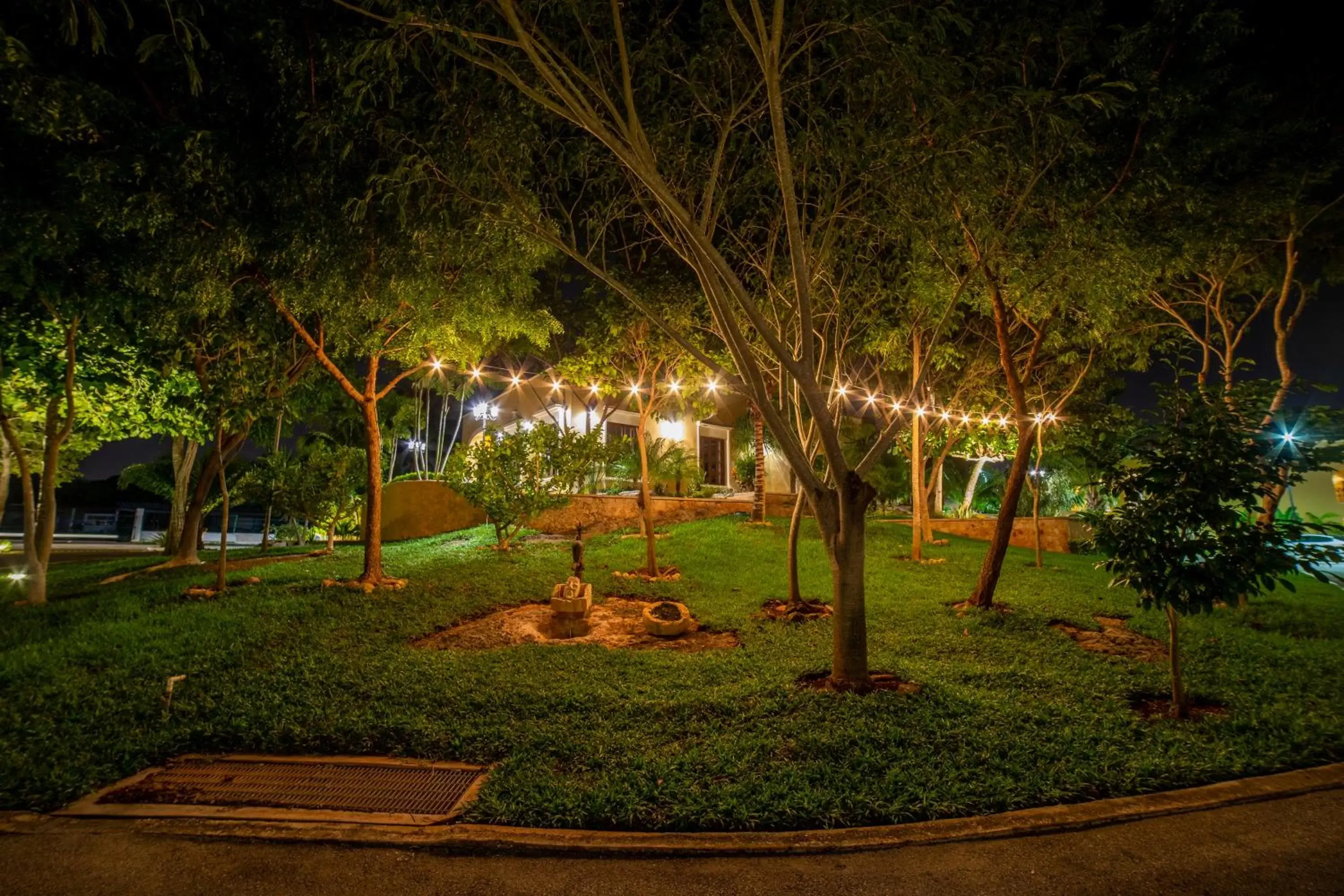 Garden in TecnoHotel Valladolid