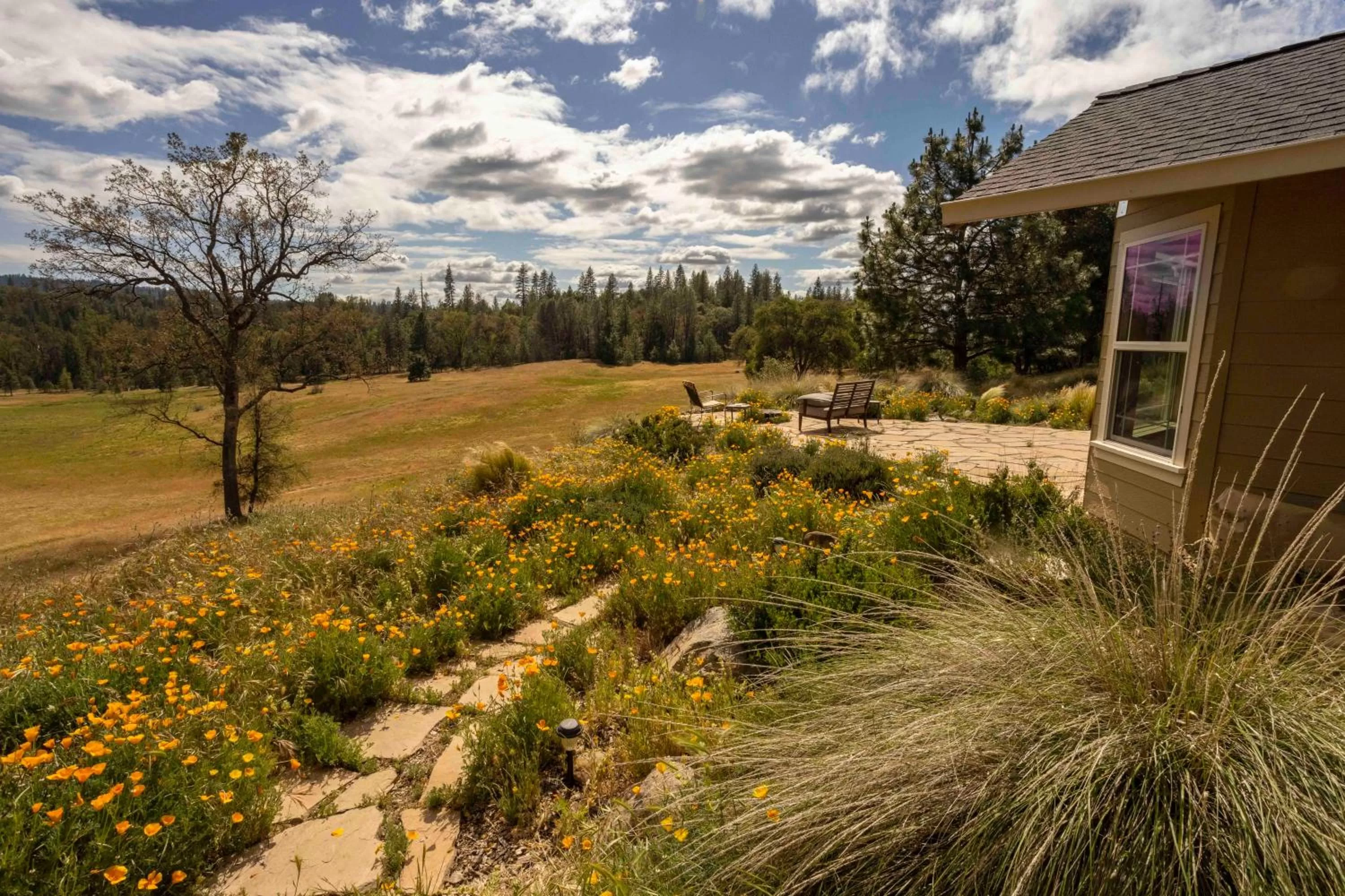 Patio in Red Tail Ranch