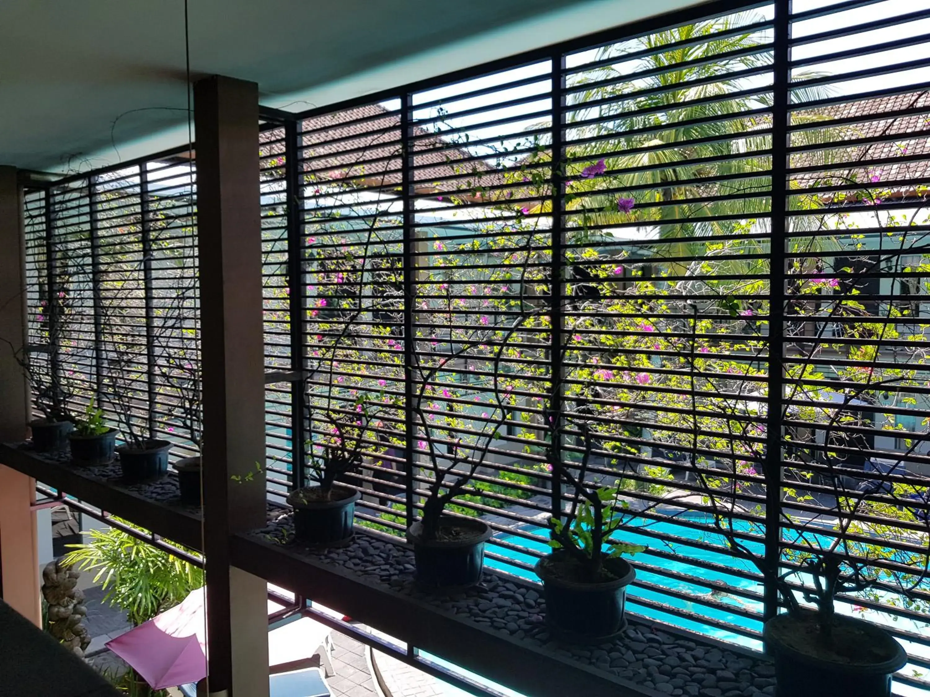 Balcony/Terrace in Sanur Agung Hotel