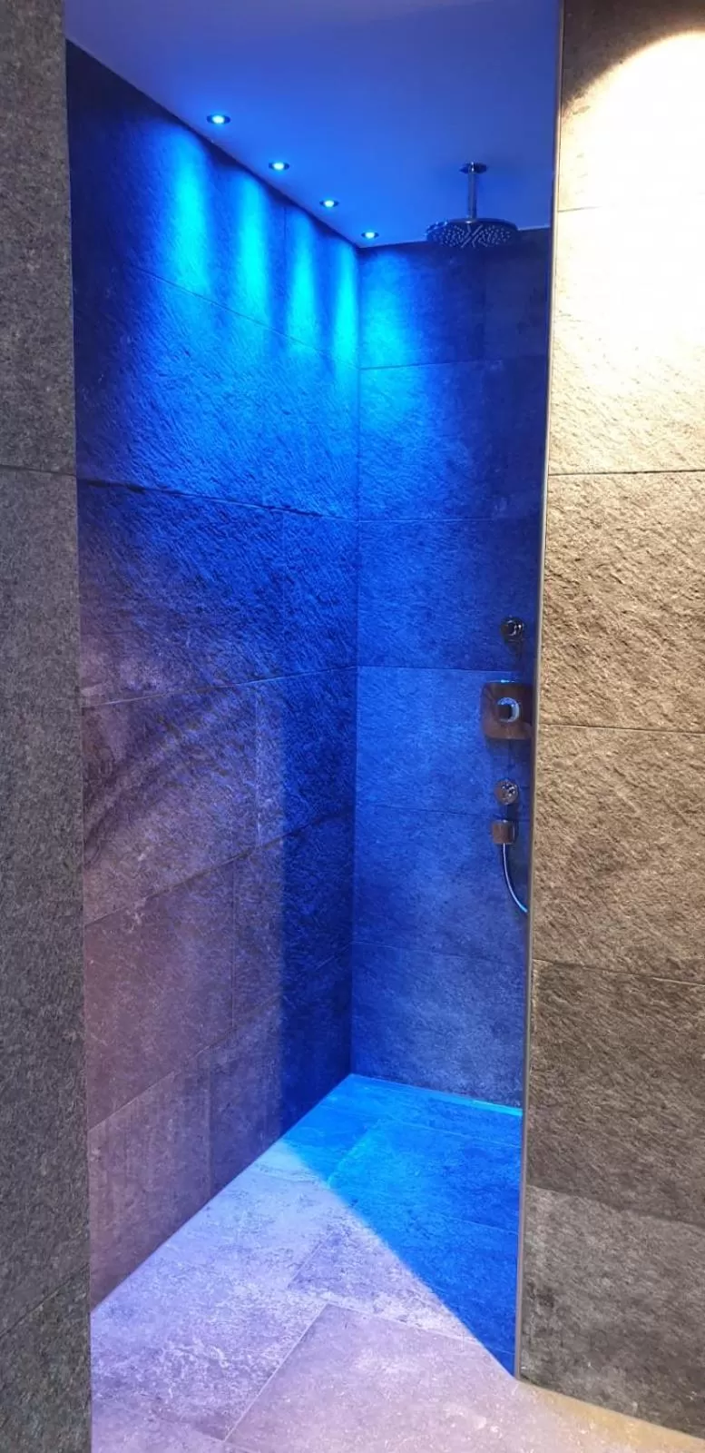 Spa and wellness centre/facilities in Hotel Giessenbach