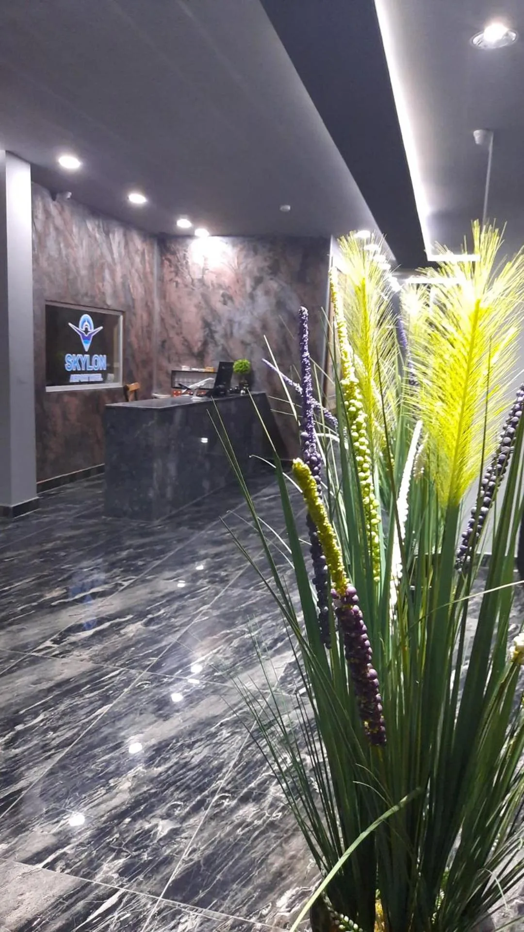 TV and multimedia in Skylon Airport Hotel