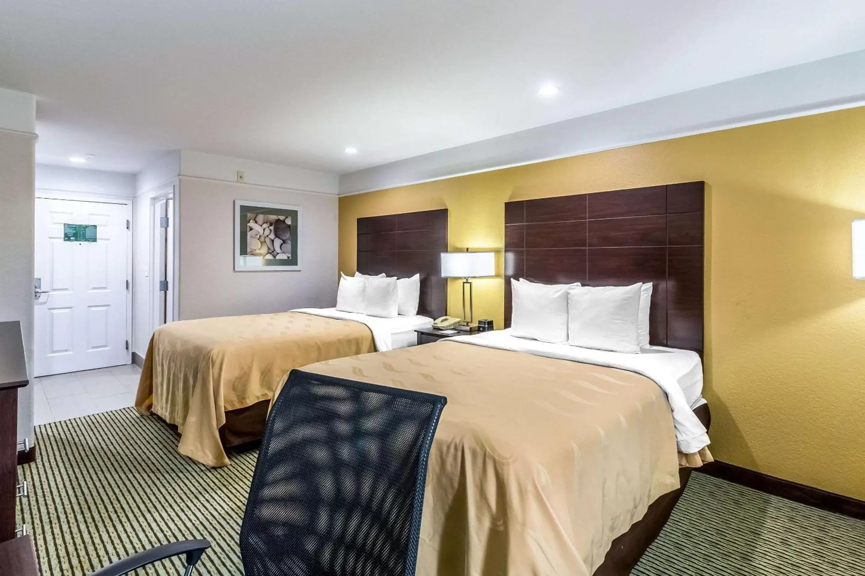 Photo of the whole room, Bed in Quality Inn & Suites SeaWorld North