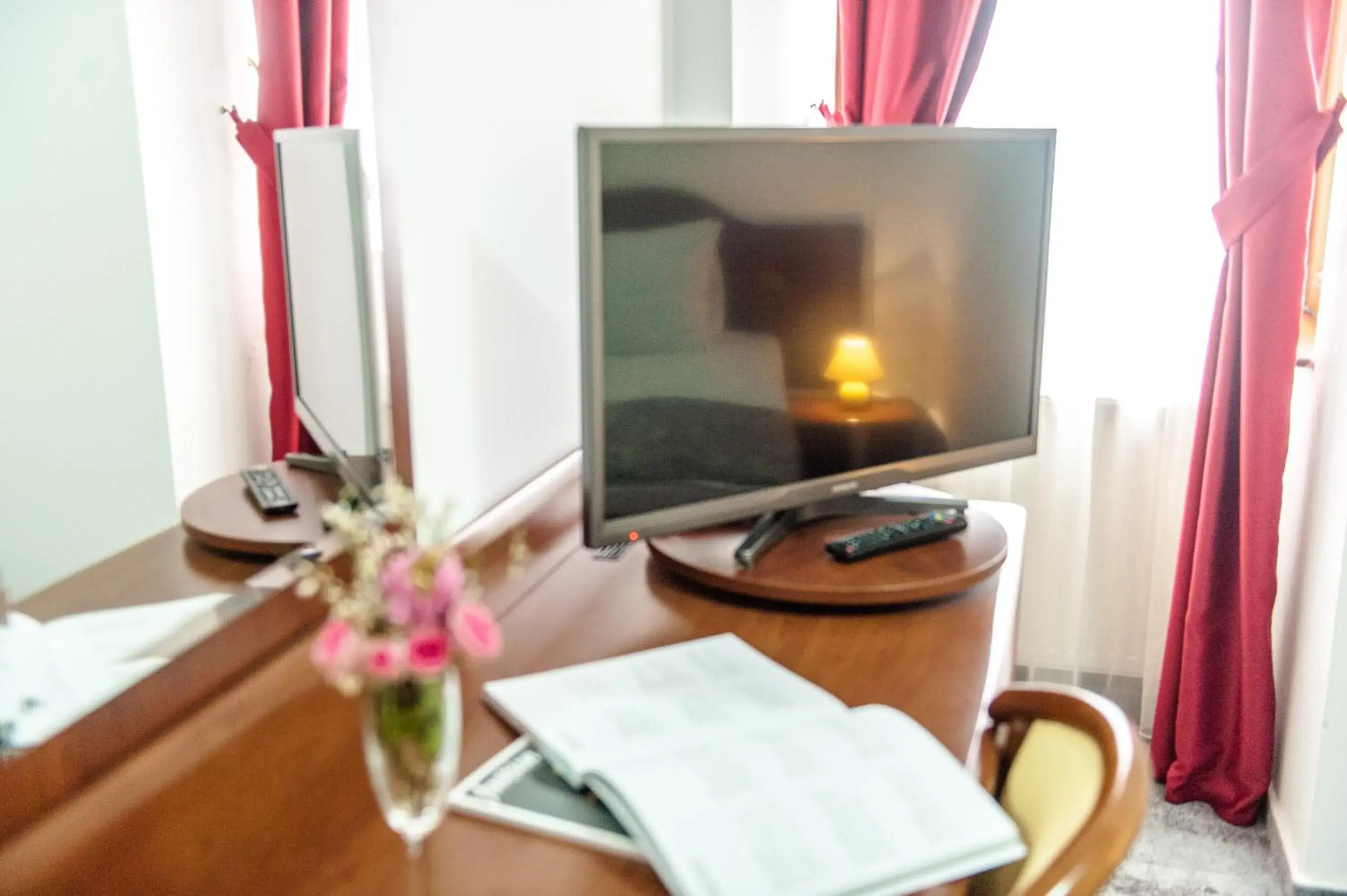 Decorative detail, TV/Entertainment Center in Hotel Parc Sibiu