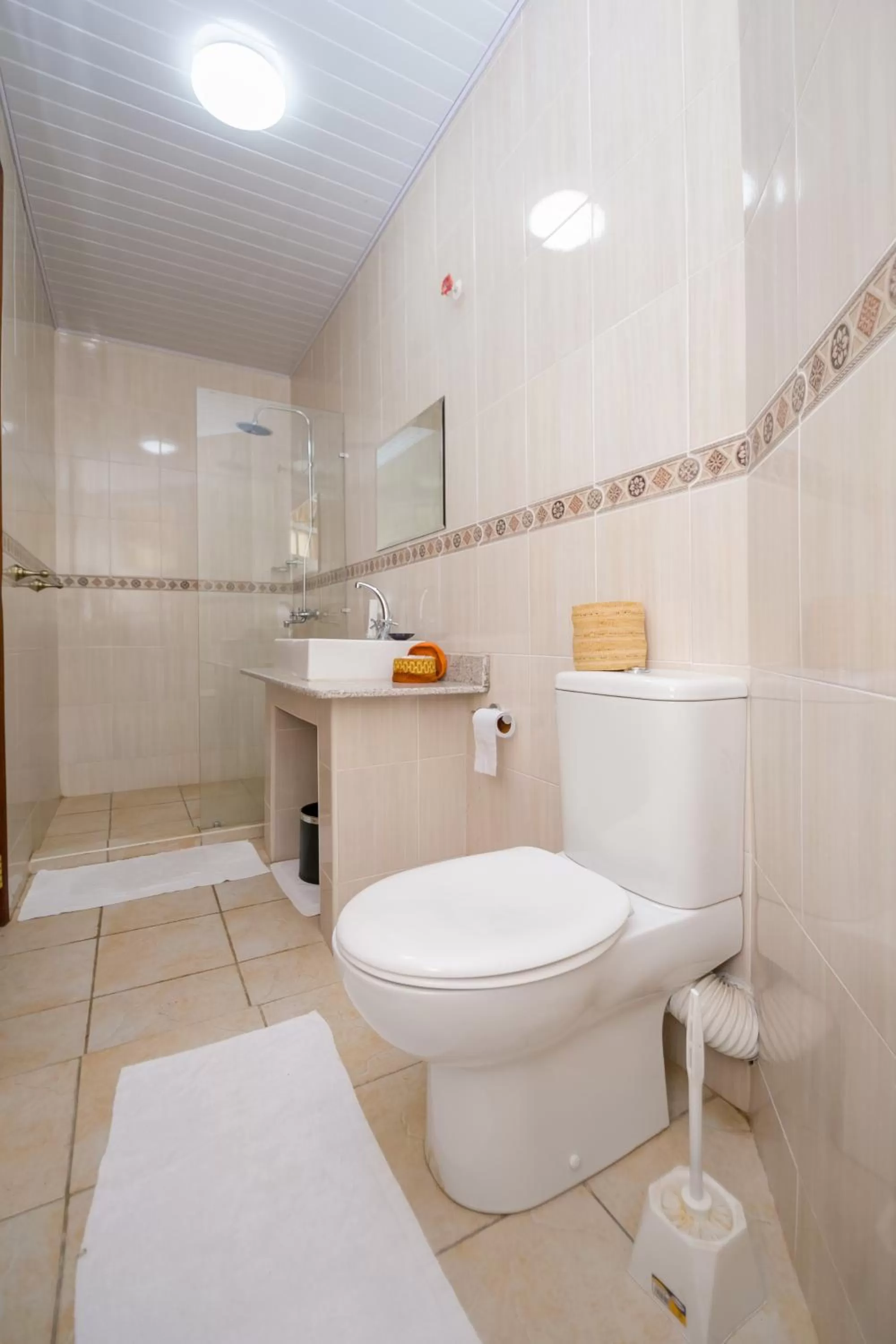 Shower in Hotel Rudi