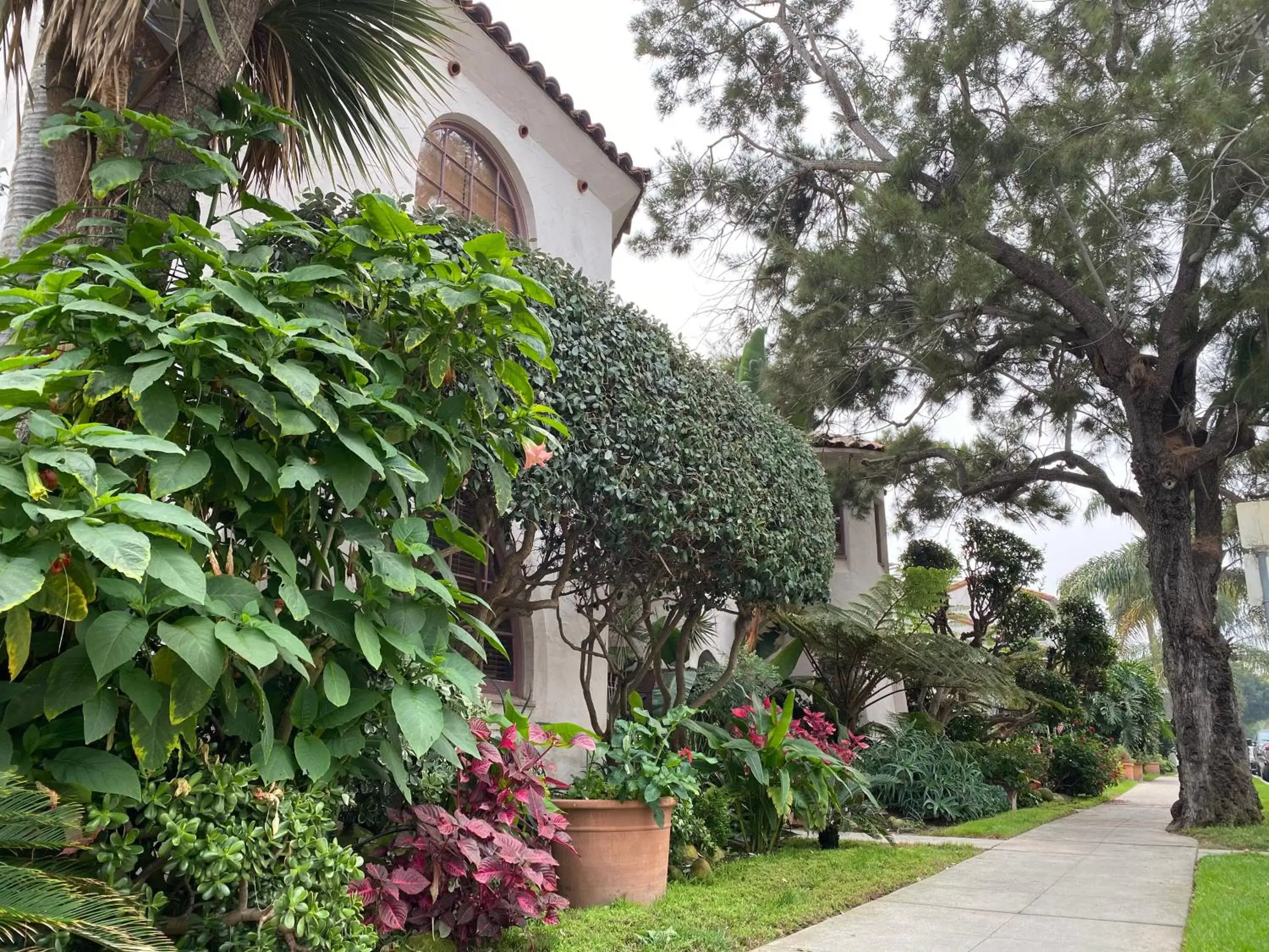 Garden in Villa Rosa Inn