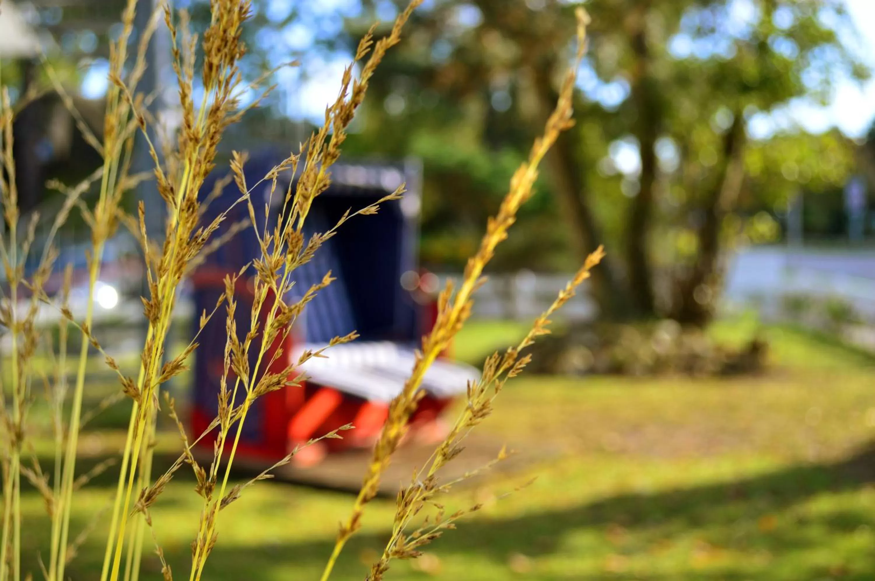 Garden in Hotel Das kleine Glück - Adults Only