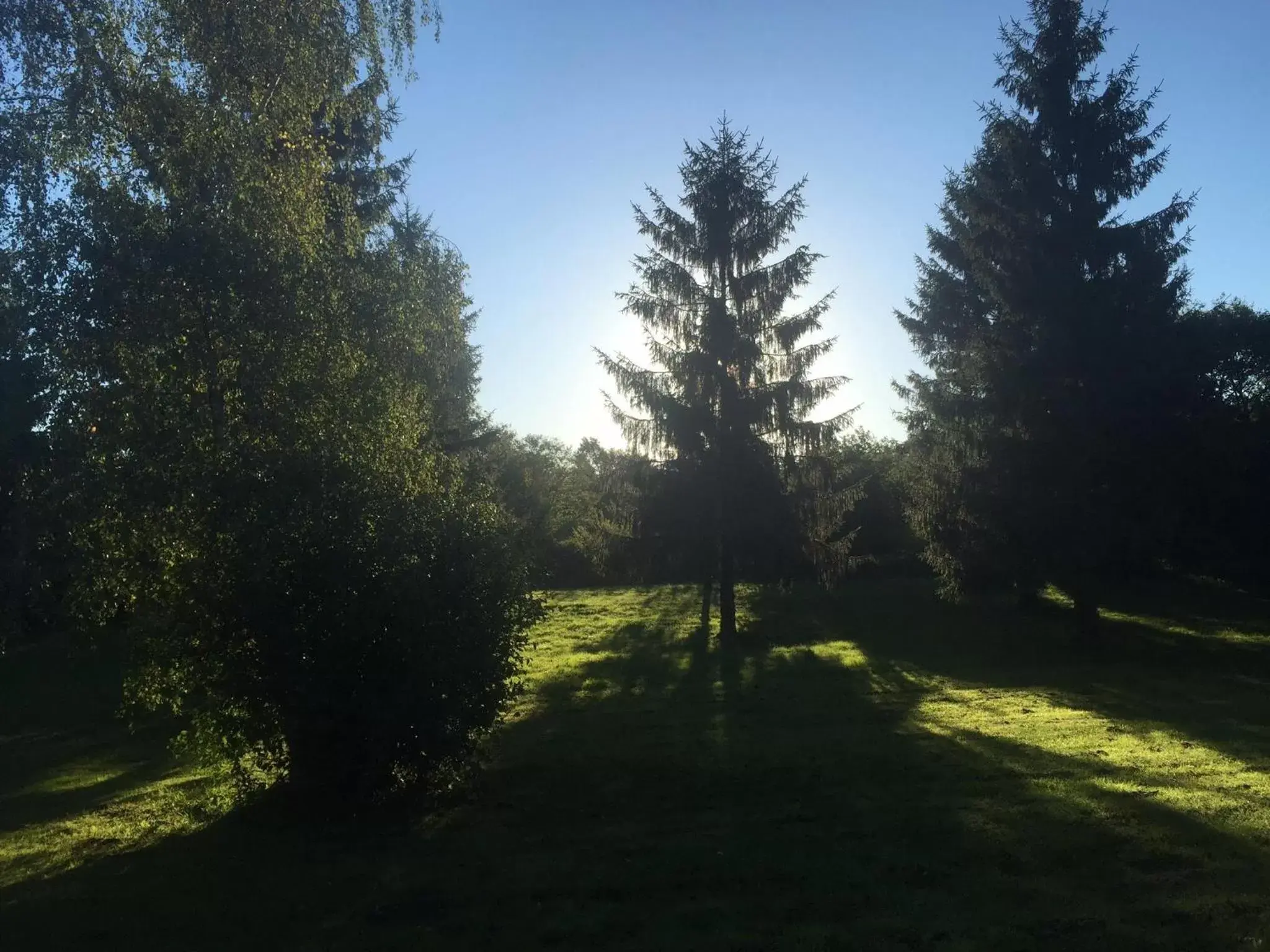 Natural landscape in Les Colonnes De Chanteloup