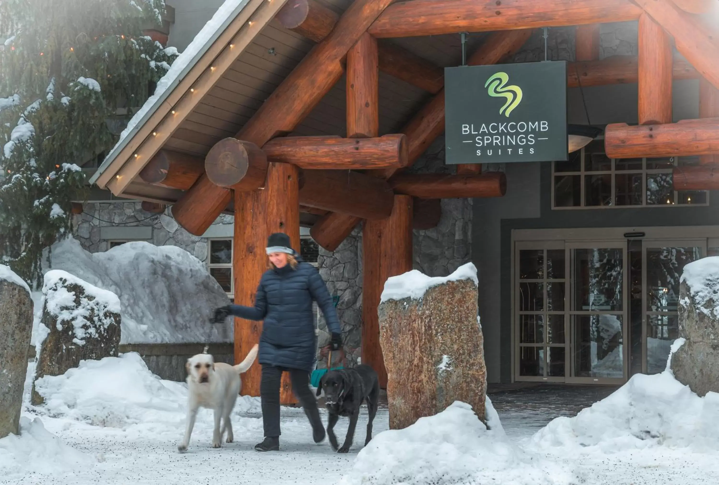 Pets, Winter in Blackcomb Springs Suites by CLIQUE