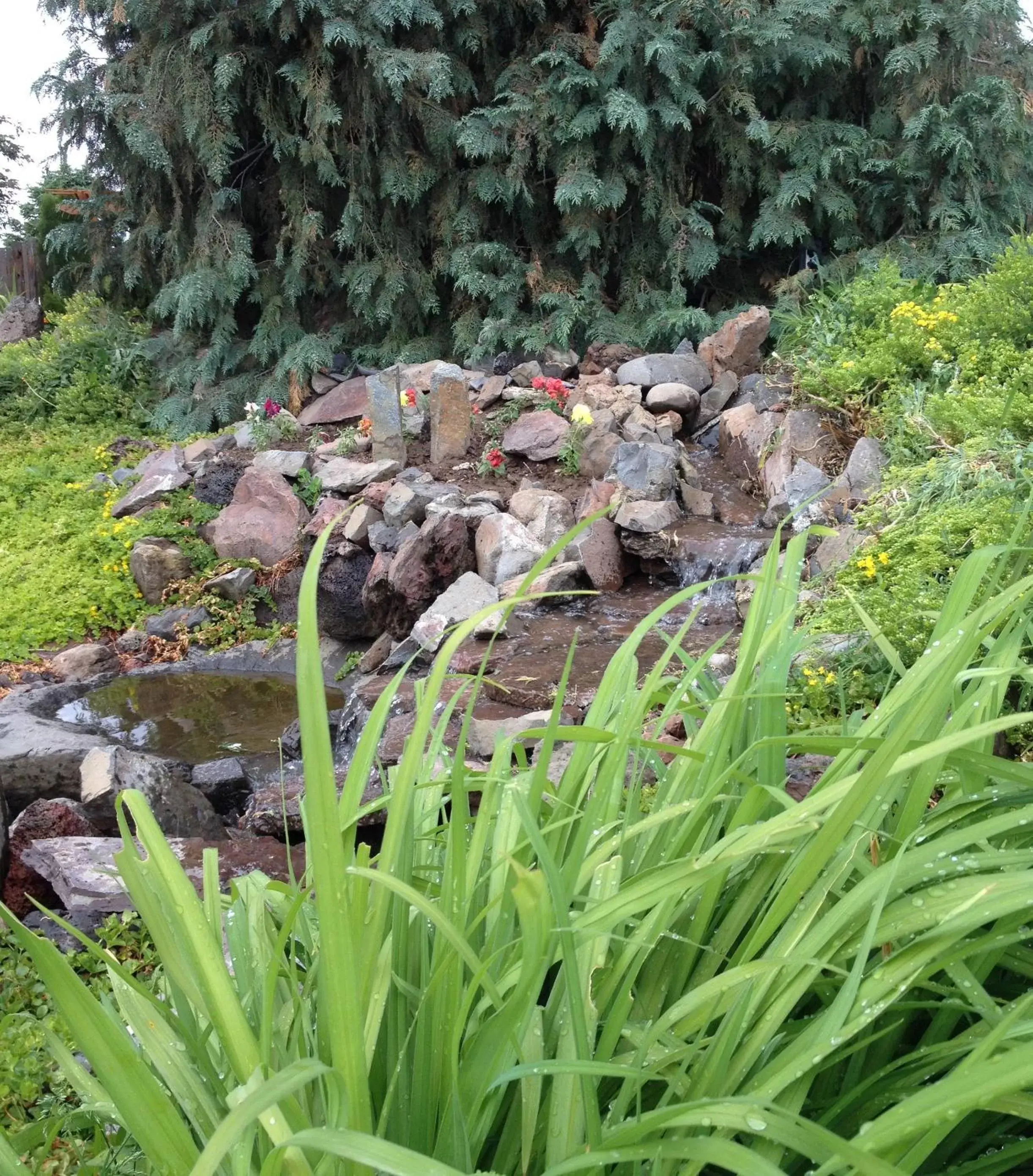 Garden in Walla Walla Garden Motel