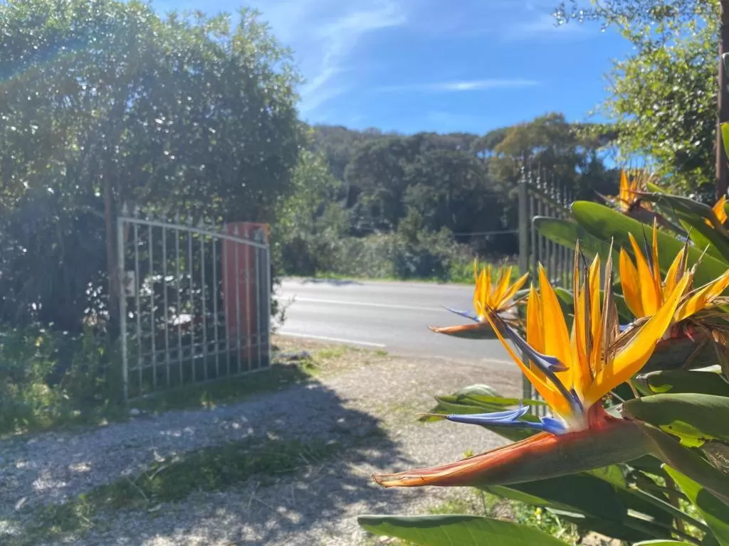 Garden in Villa Gaia