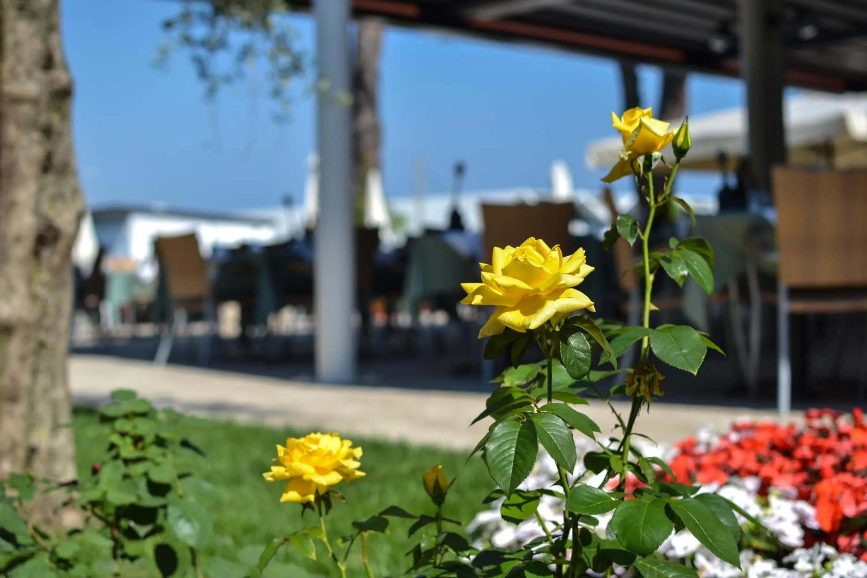 Day in Hotel Maximilian