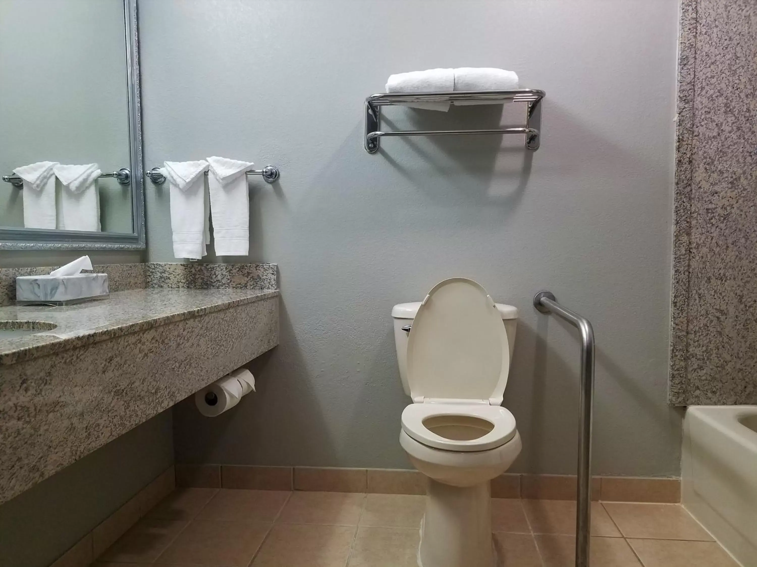 Bathroom in Best Western Auburn/Opelika Inn