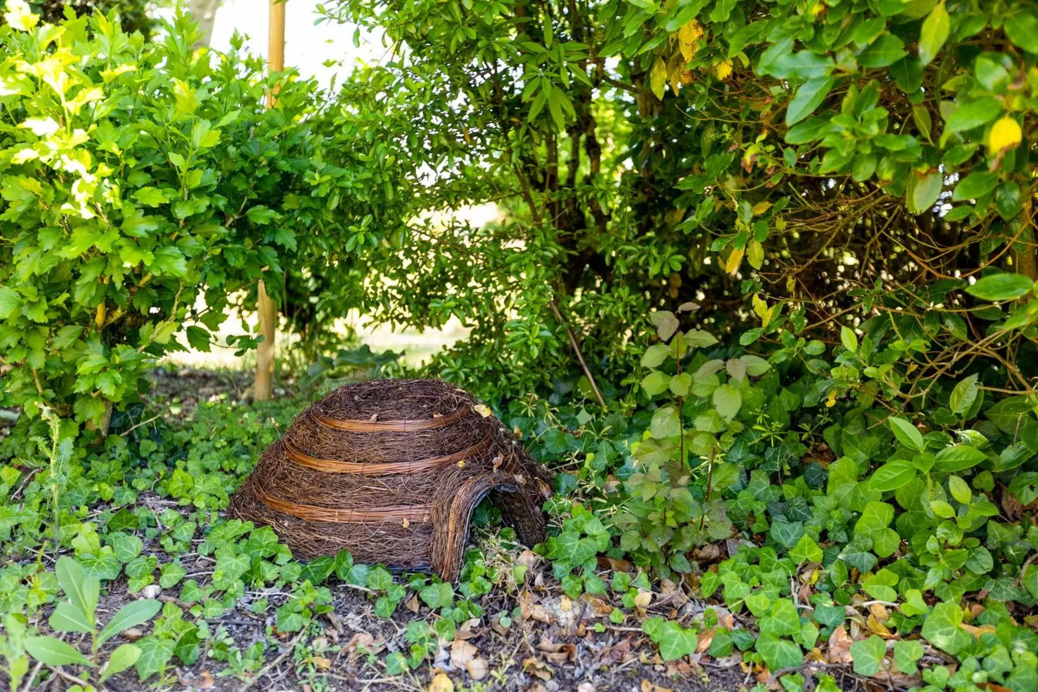 Garden, Other Animals in greet hôtel restaurant Angoulême Ouest