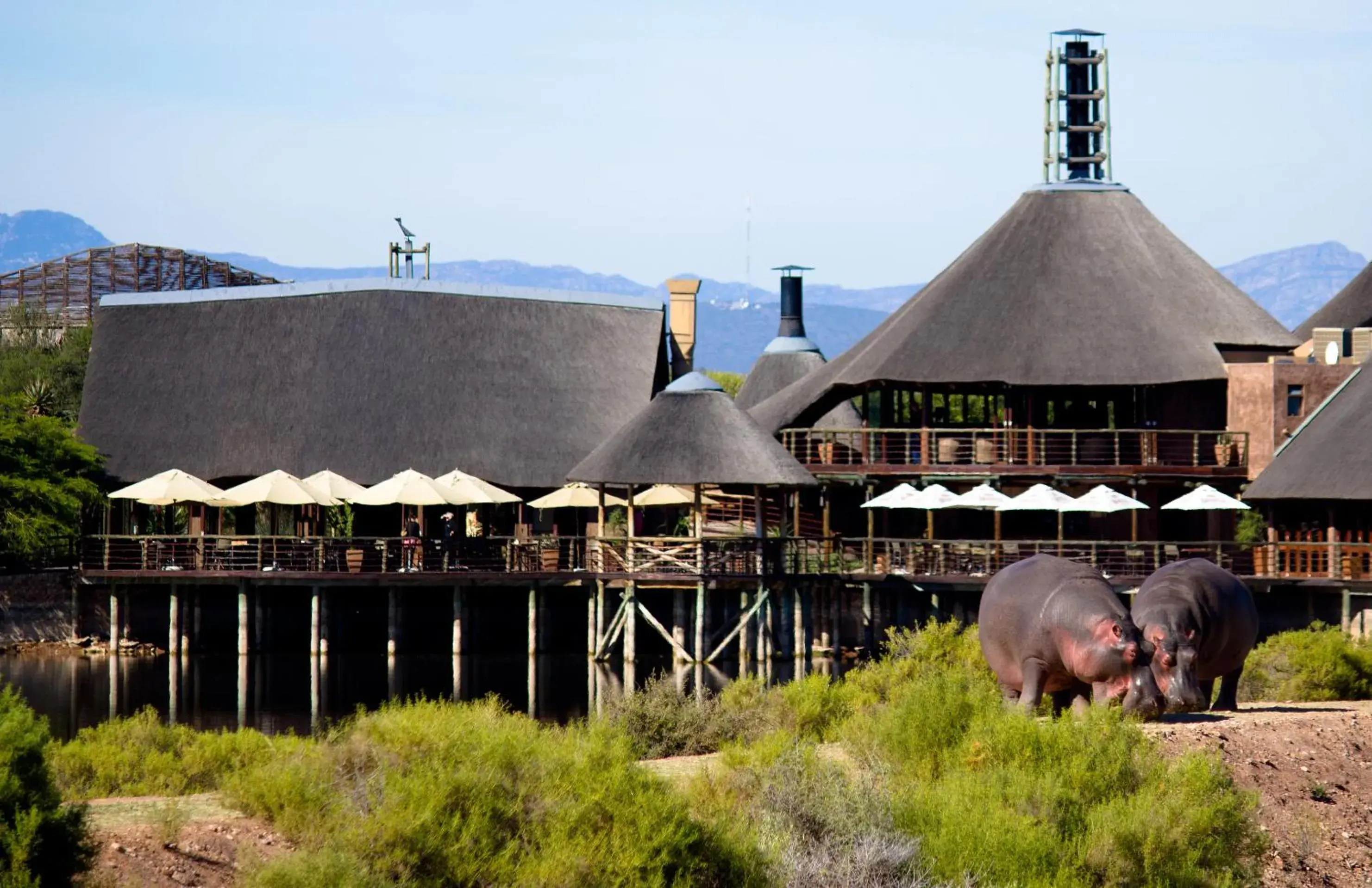 Facade/entrance in Buffelsdrift Game Lodge