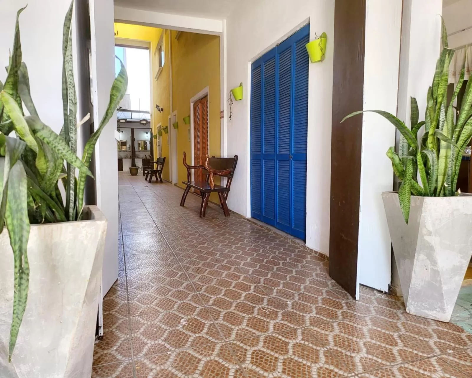 Property building in Casa Frida