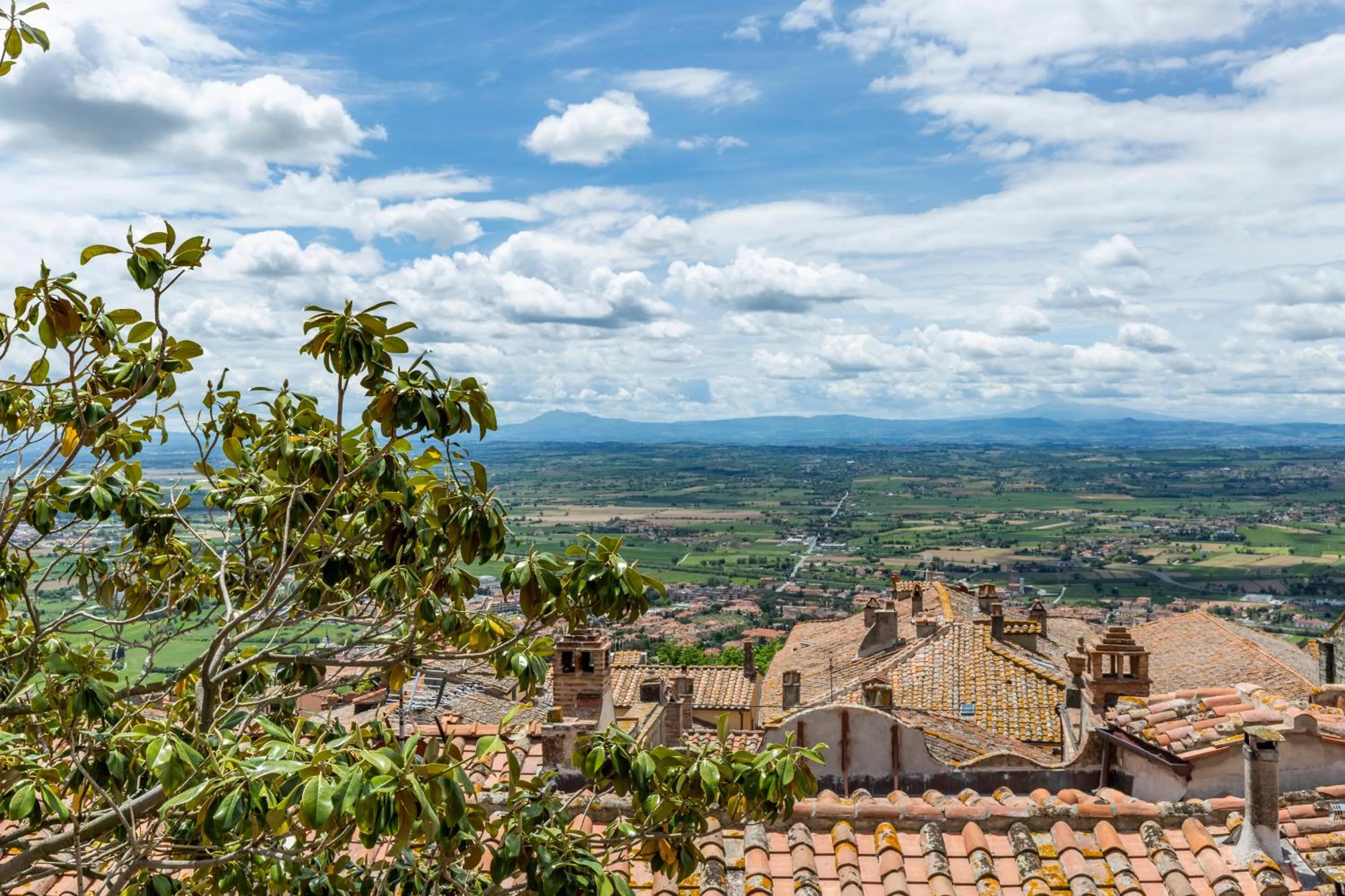 View (from property/room) in Hotel San Michele