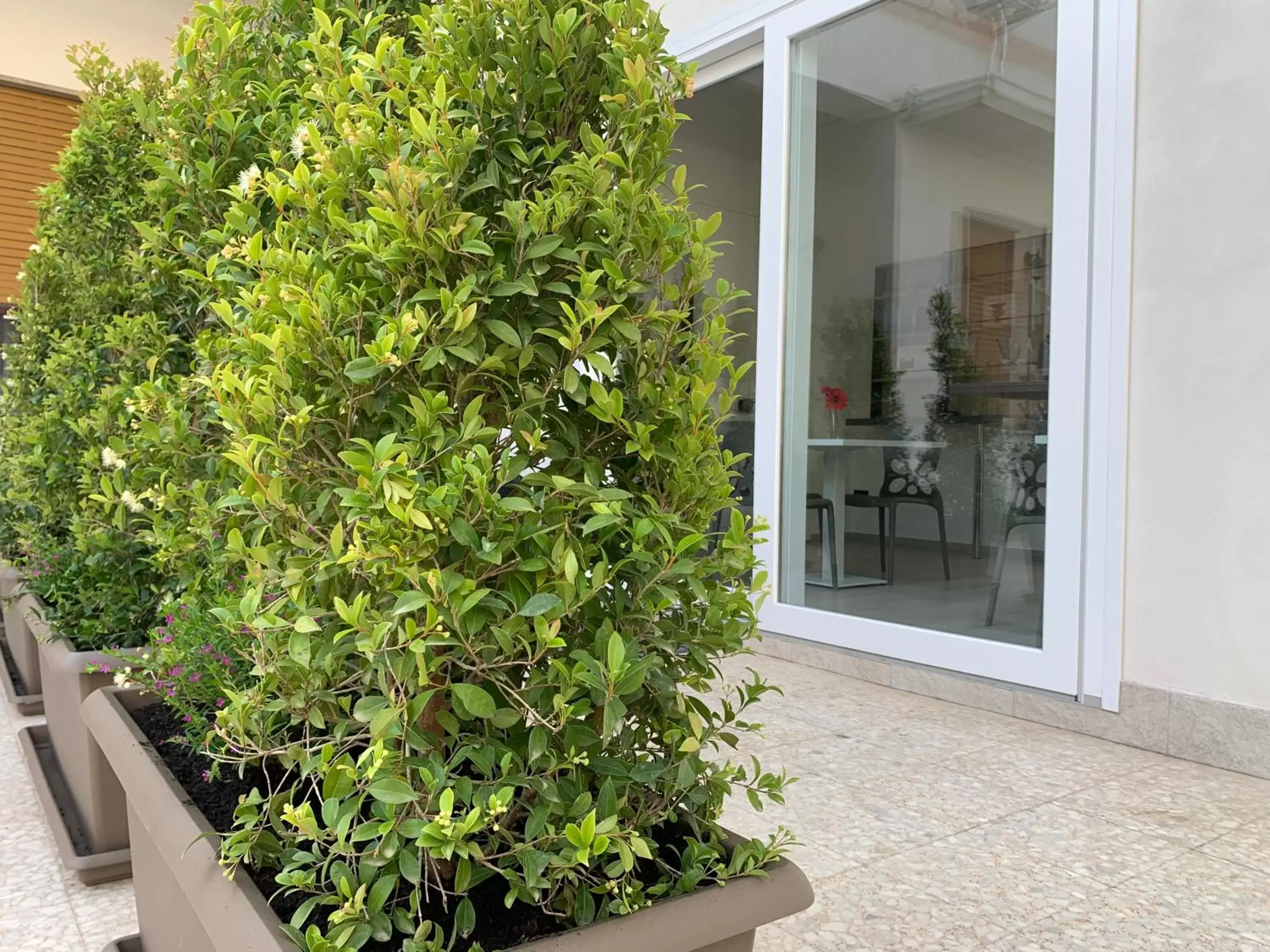 Patio in Thalya Luxury Rooms