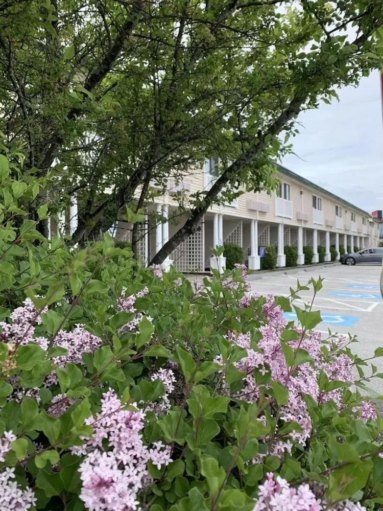 Garden view, Property Building in Fireside Inn and Suites Bangor