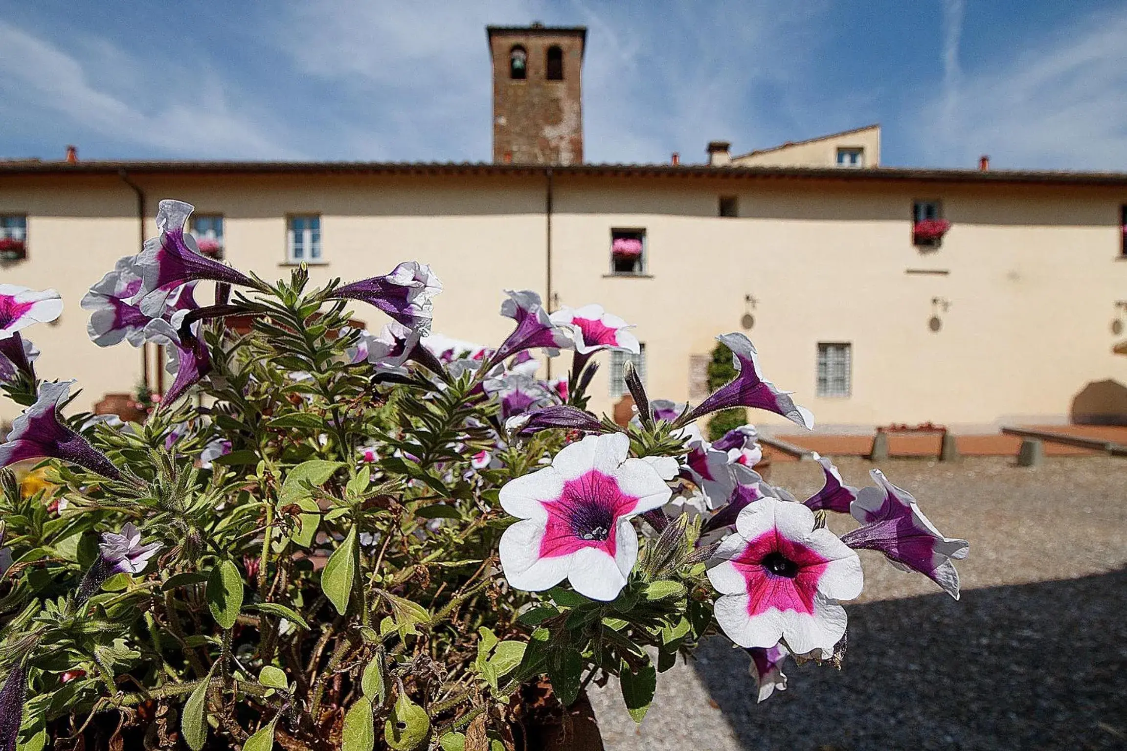 Property building in Borgo Sant'ippolito Country Hotel