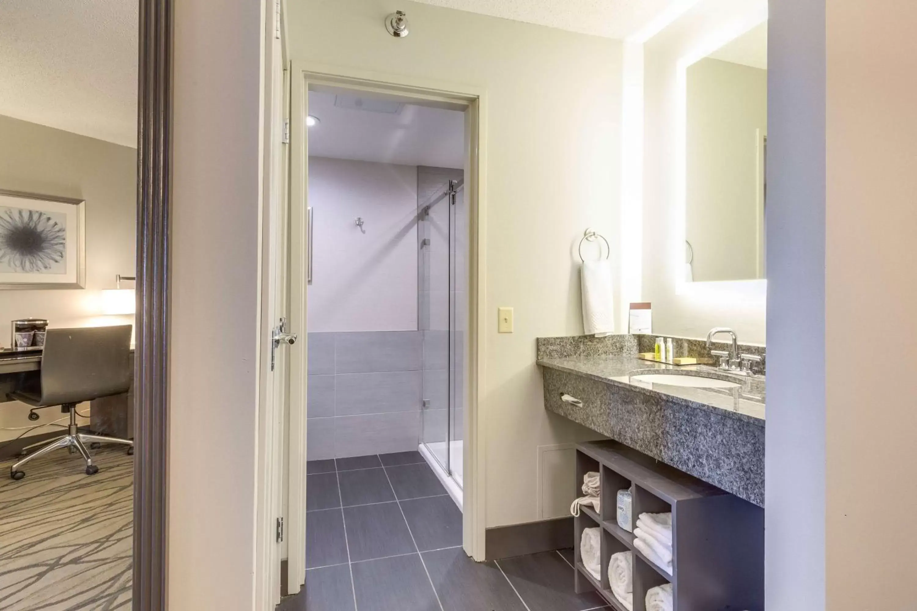 Bedroom, Bathroom in DoubleTree by Hilton Racine Harbourwalk