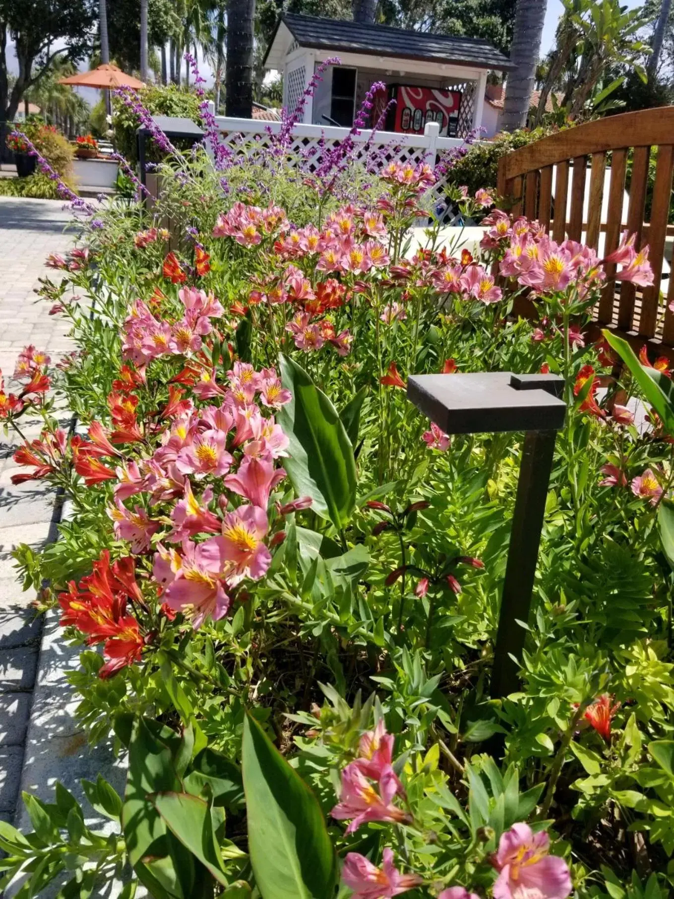 Patio, Garden in Marina Beach Motel