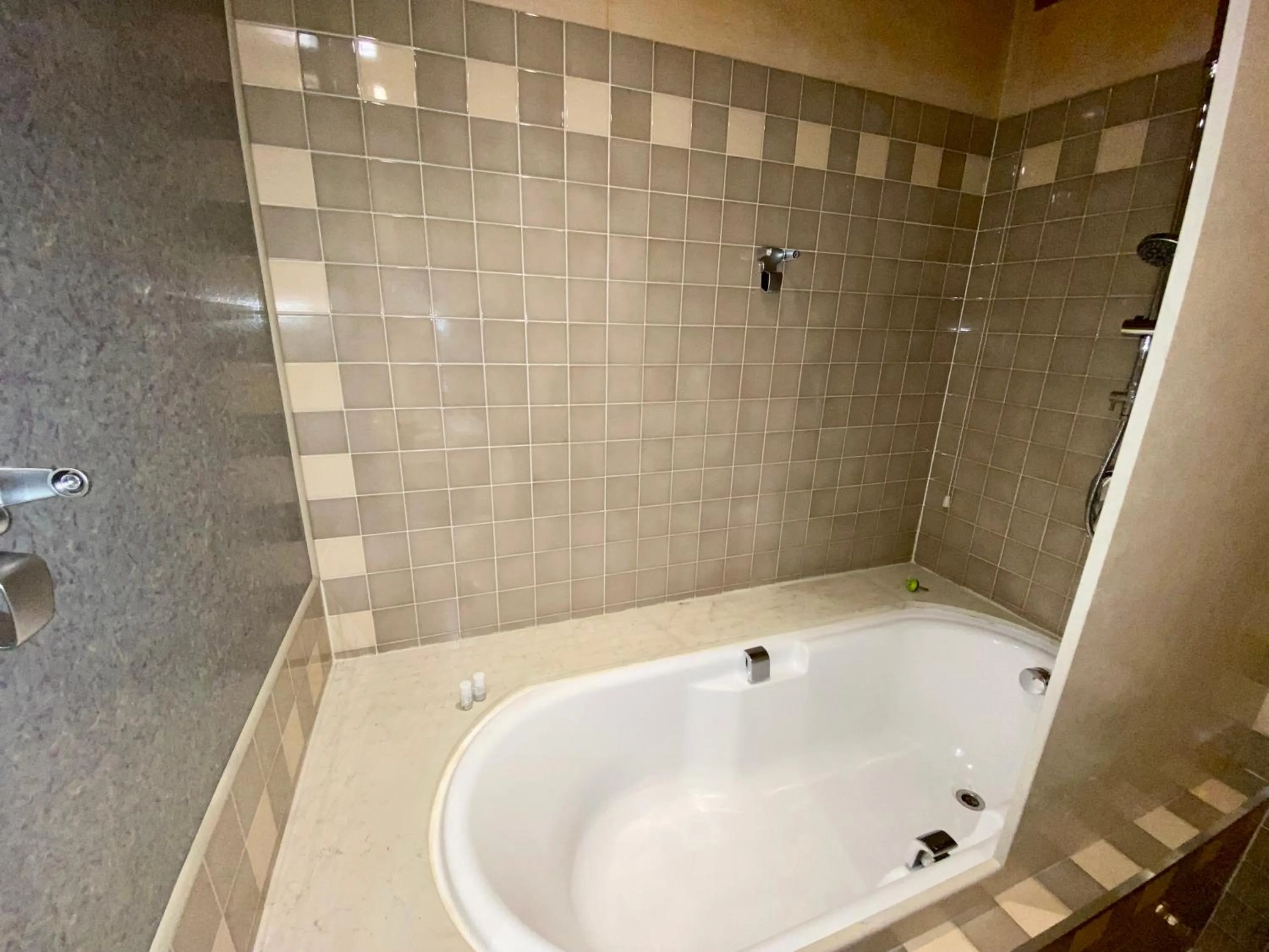 Bath in Hotel Casagrande