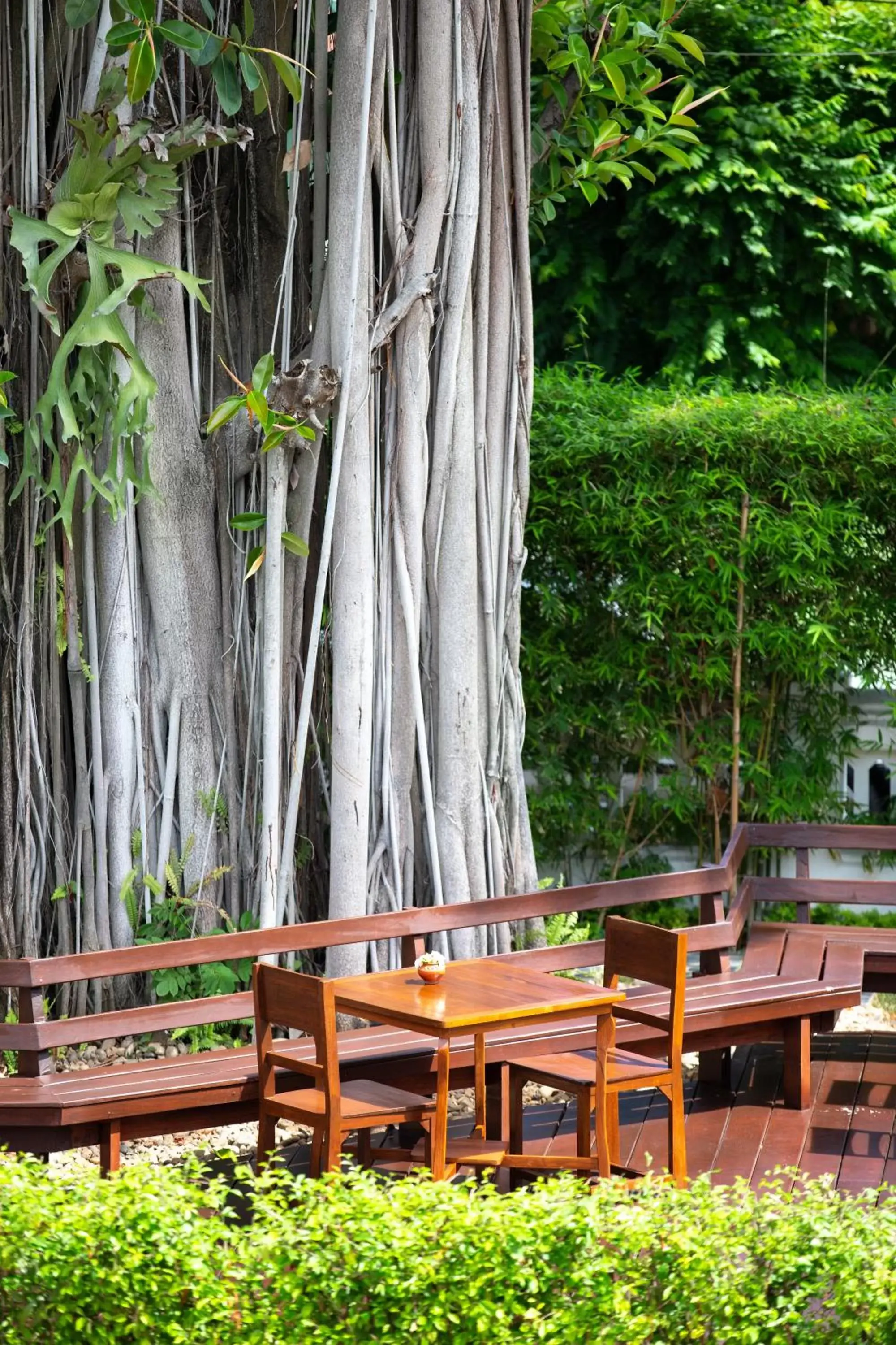 Patio in Rimping Village