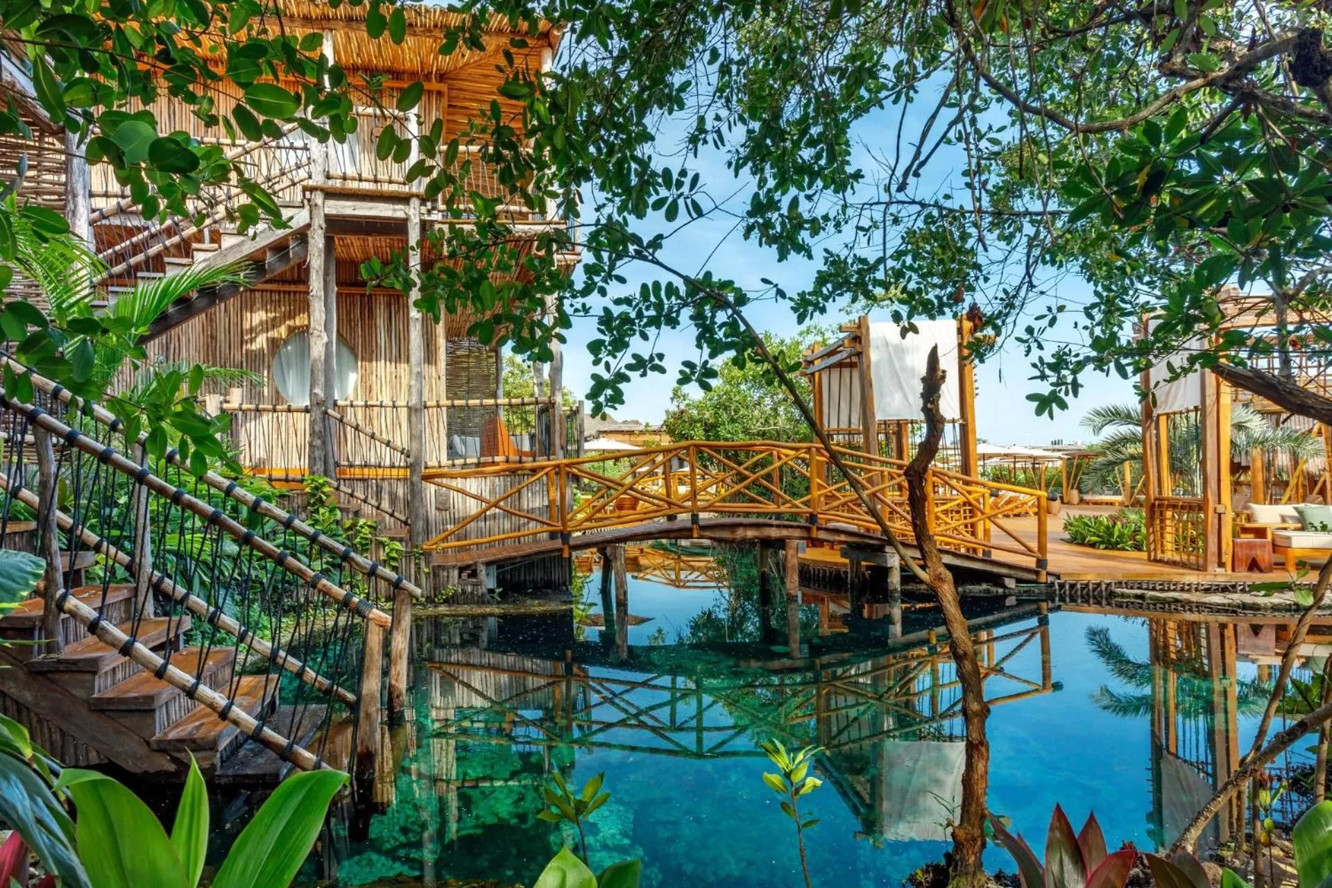 Off site in Hotel Shibari - Restaurant & Cenote Club