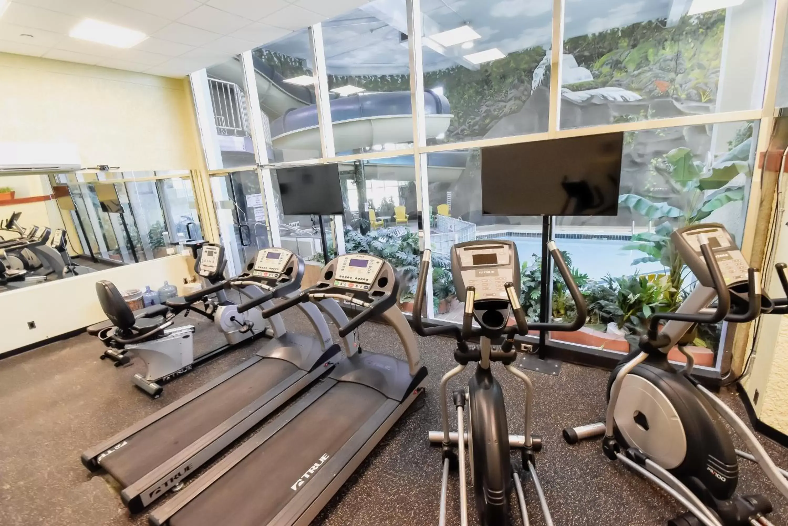 Fitness centre/facilities, Fitness Center/Facilities in Canad Inns Destination Centre Windsor Park