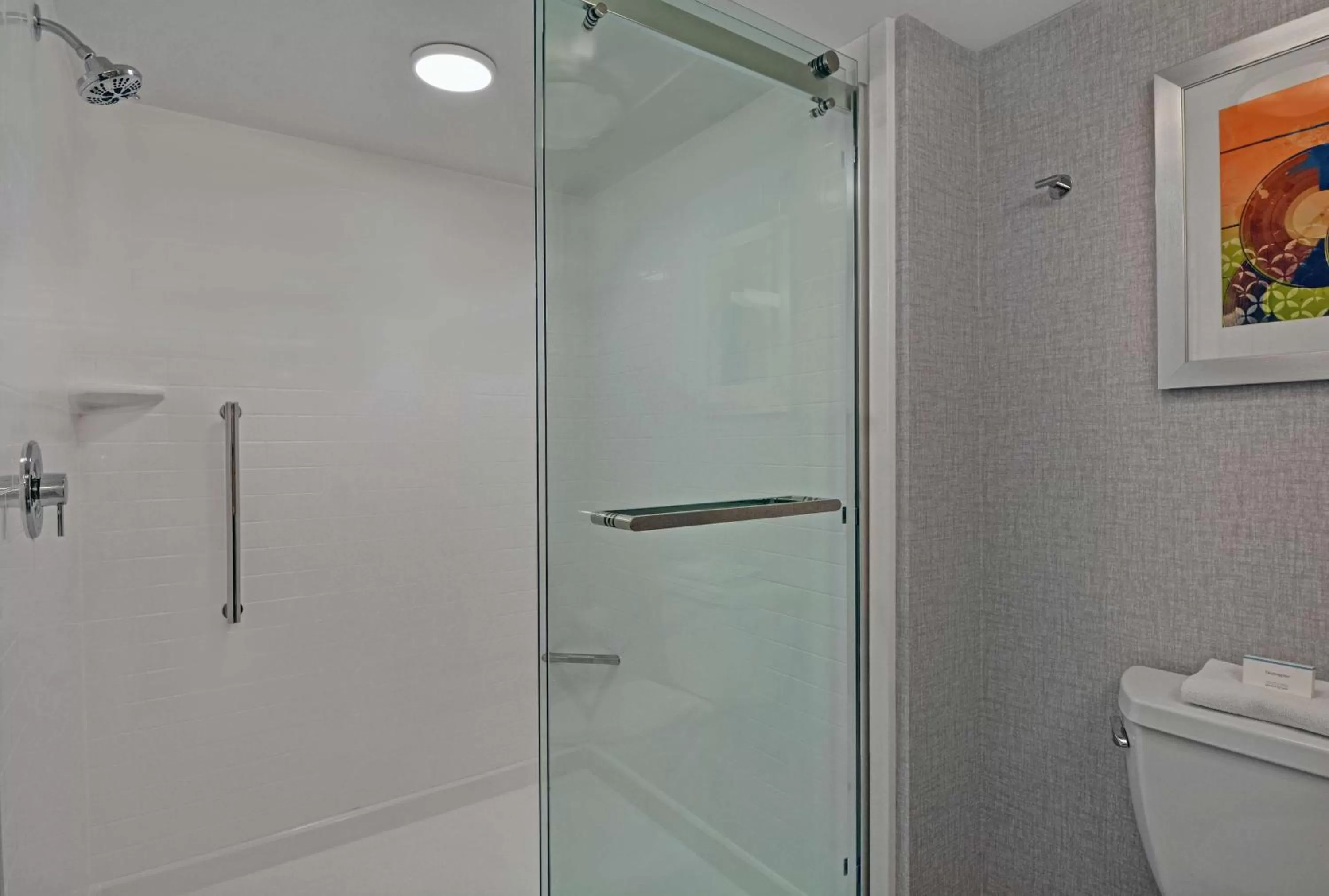 Bathroom in Hampton Inn Gallatin