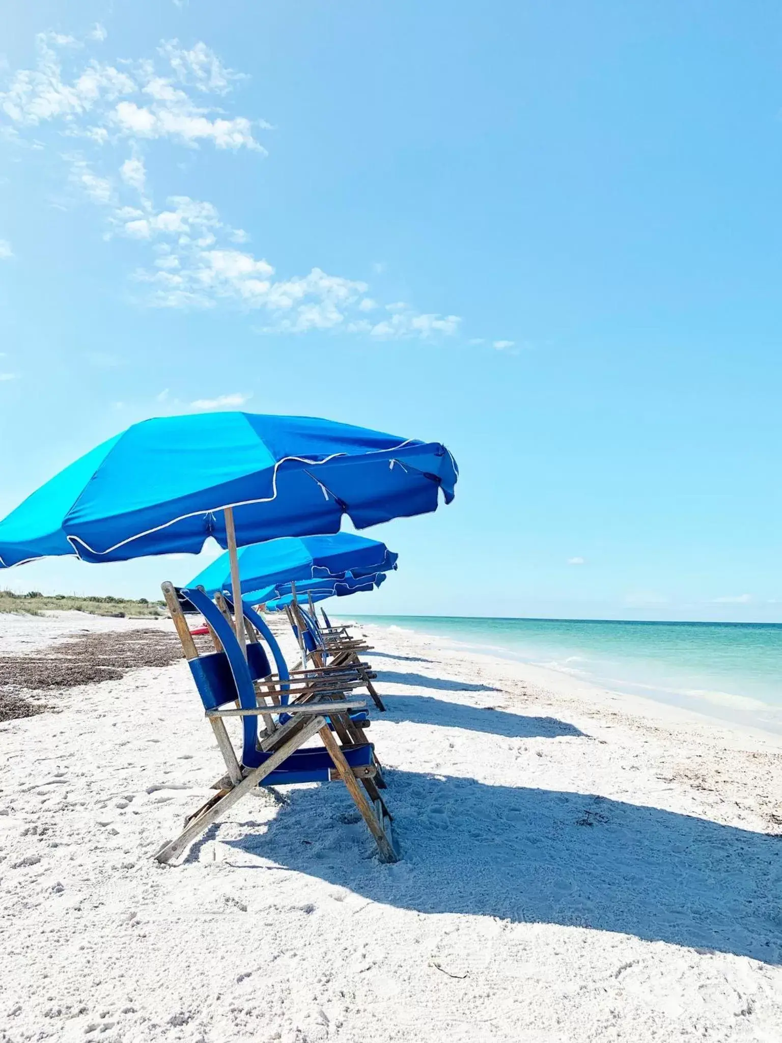 Beach in Candlewood Suites - Safety Harbor, an IHG Hotel