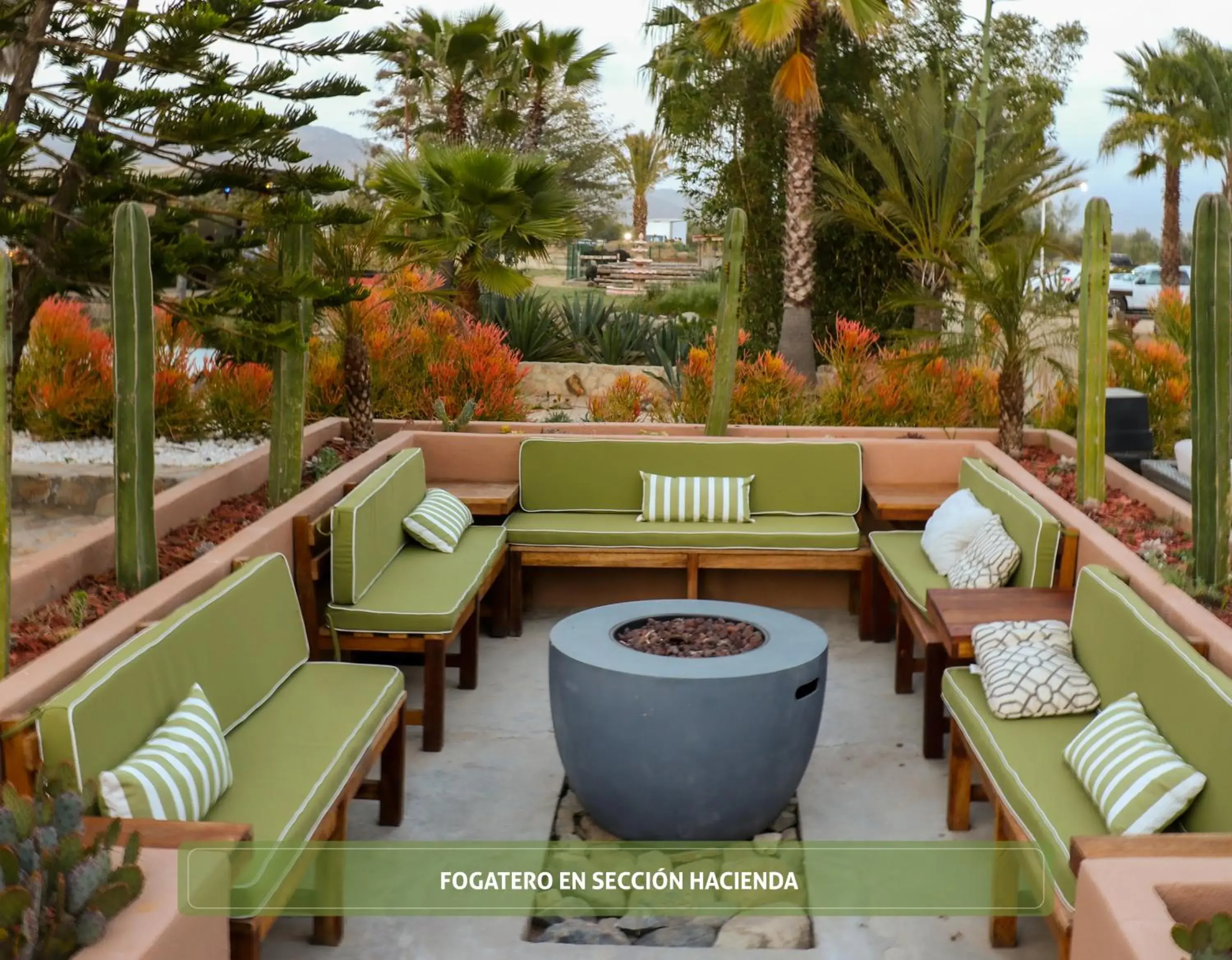 Balcony/Terrace in Hotel Boutique Valle de Guadalupe