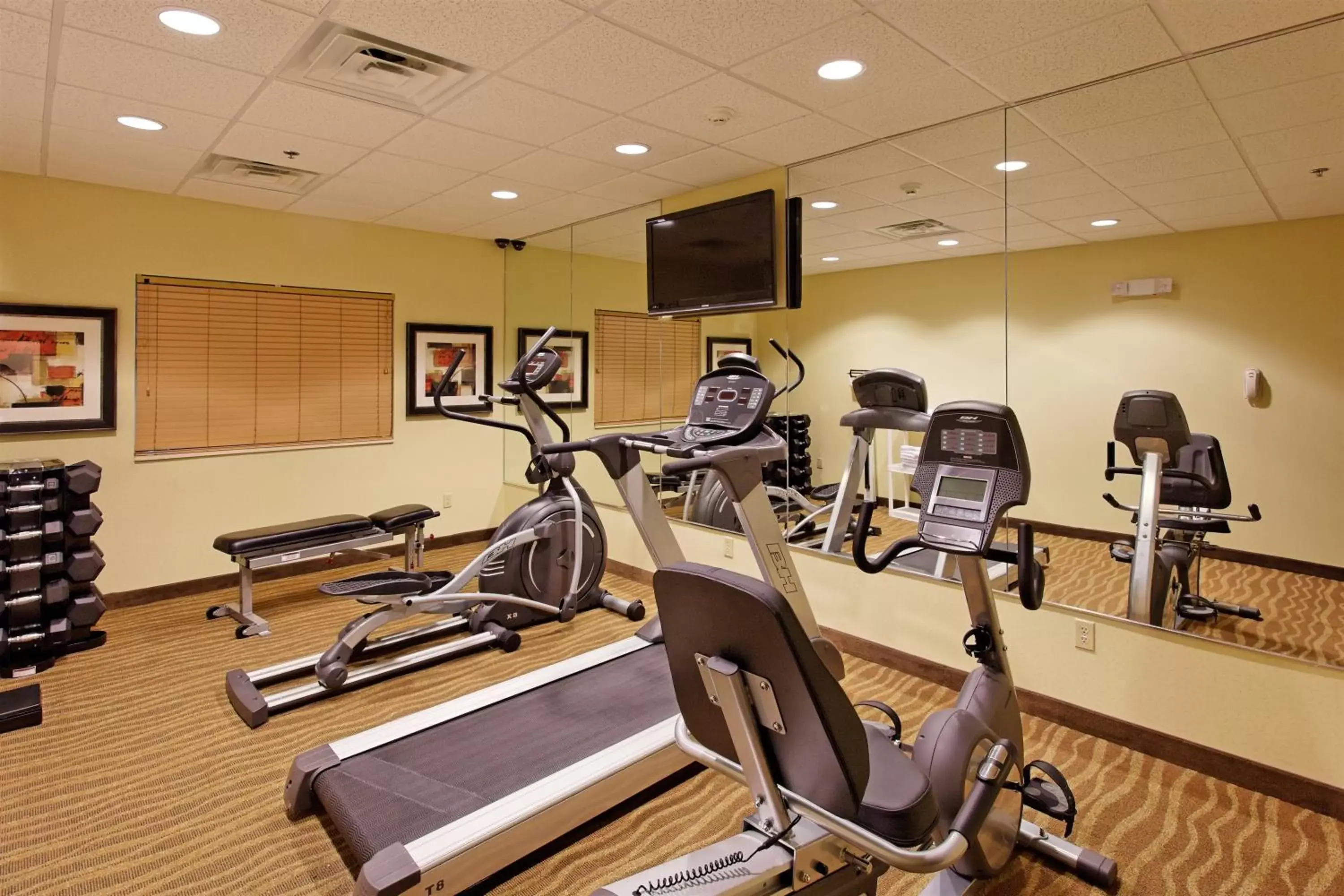 Fitness centre/facilities, Fitness Center/Facilities in Holiday Inn Express Florence Northeast, an IHG Hotel