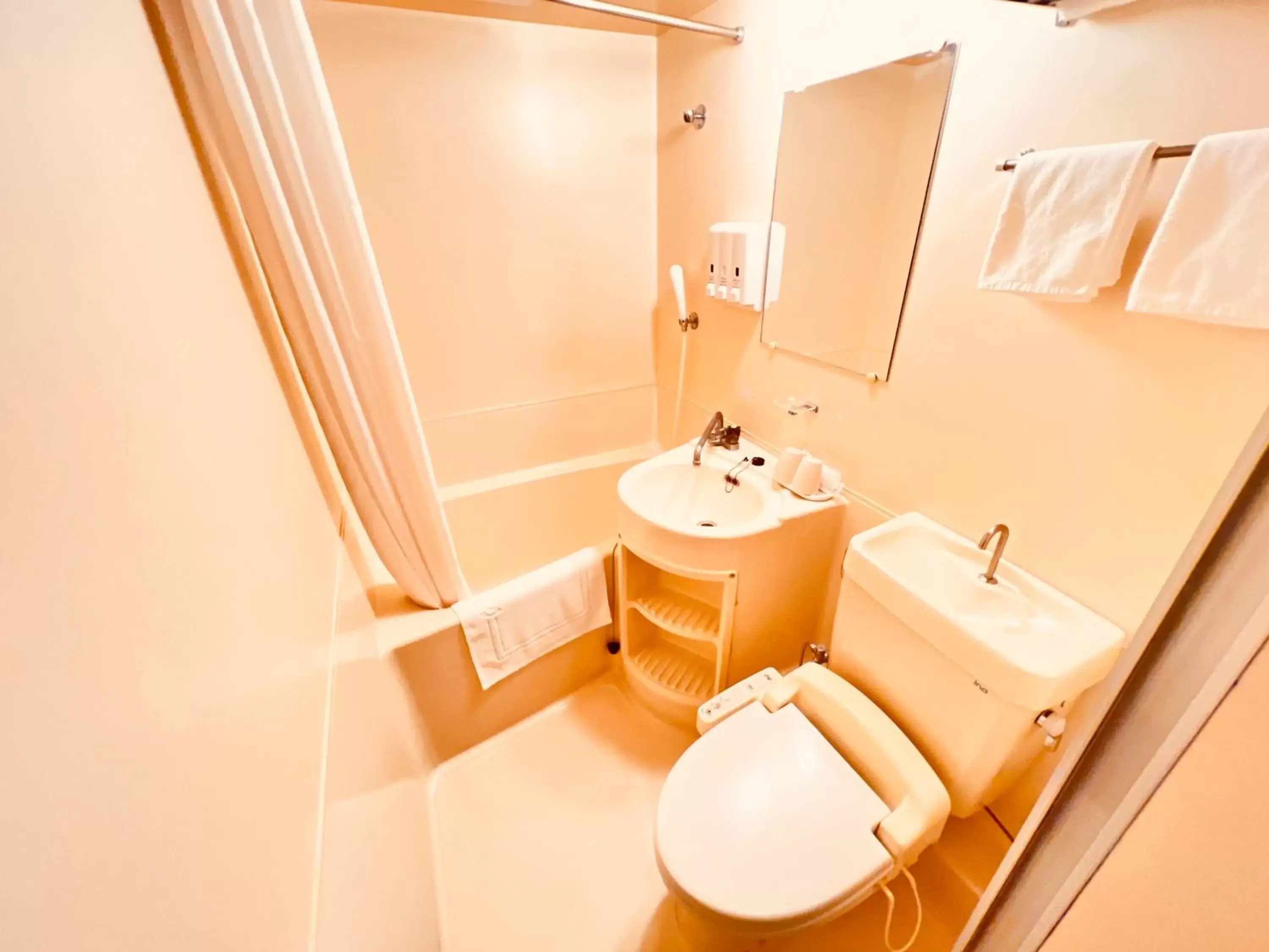 Bathroom in Reisenkaku Hotel Kawabata