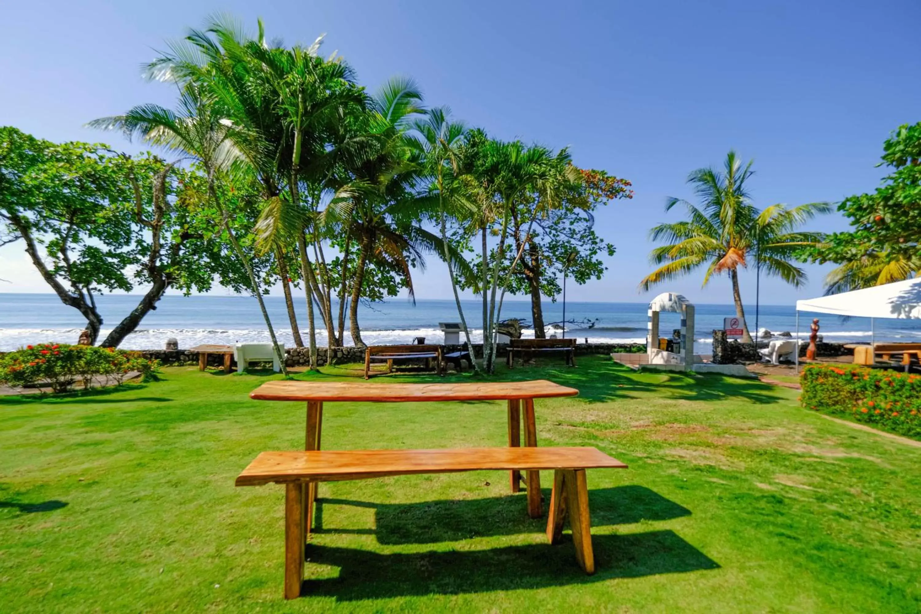 Natural landscape, Garden in Hotel Terraza del Pacifico