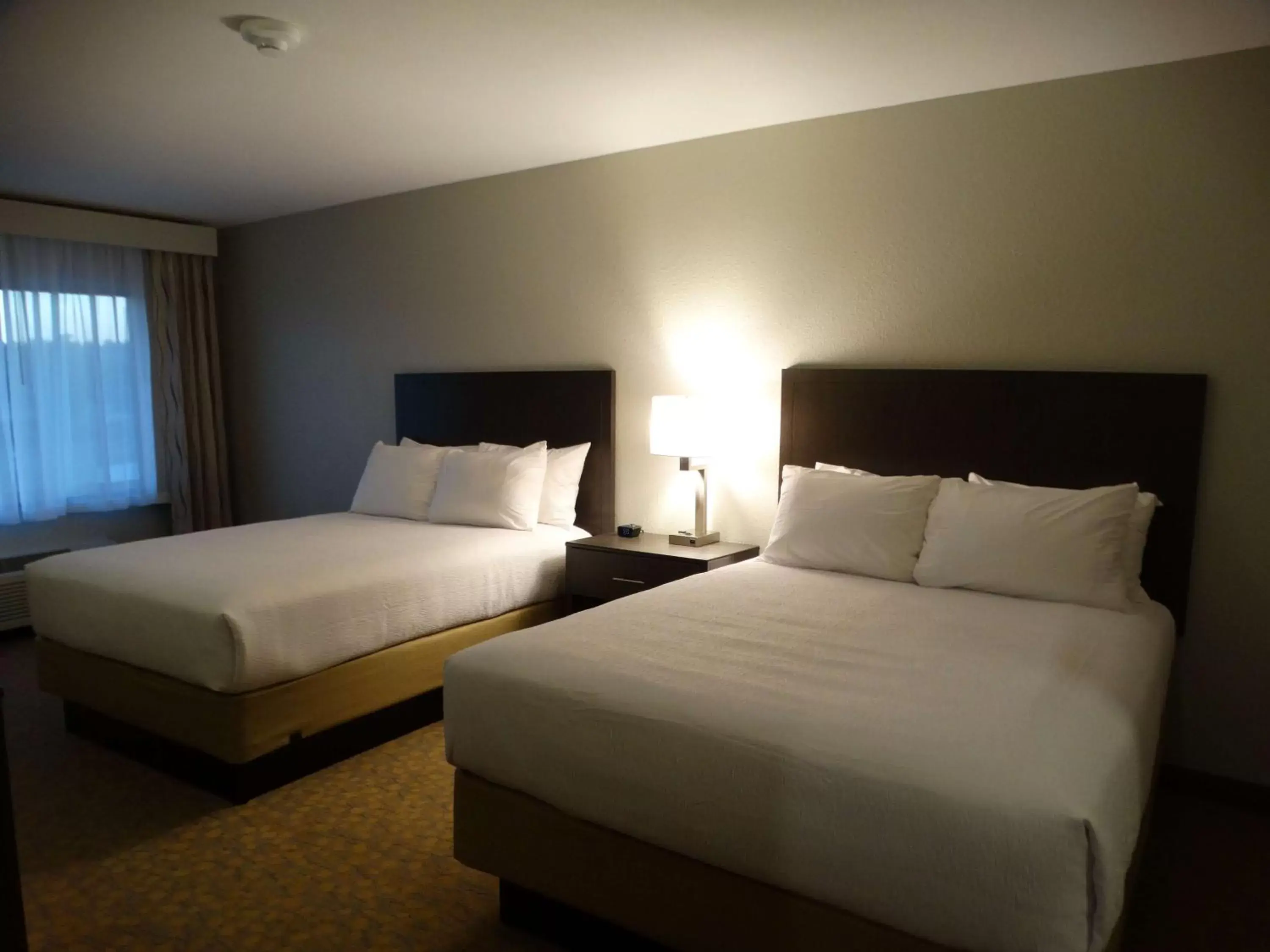 Photo of the whole room, Bed in Best Western Plus The Inn at Hells Canyon