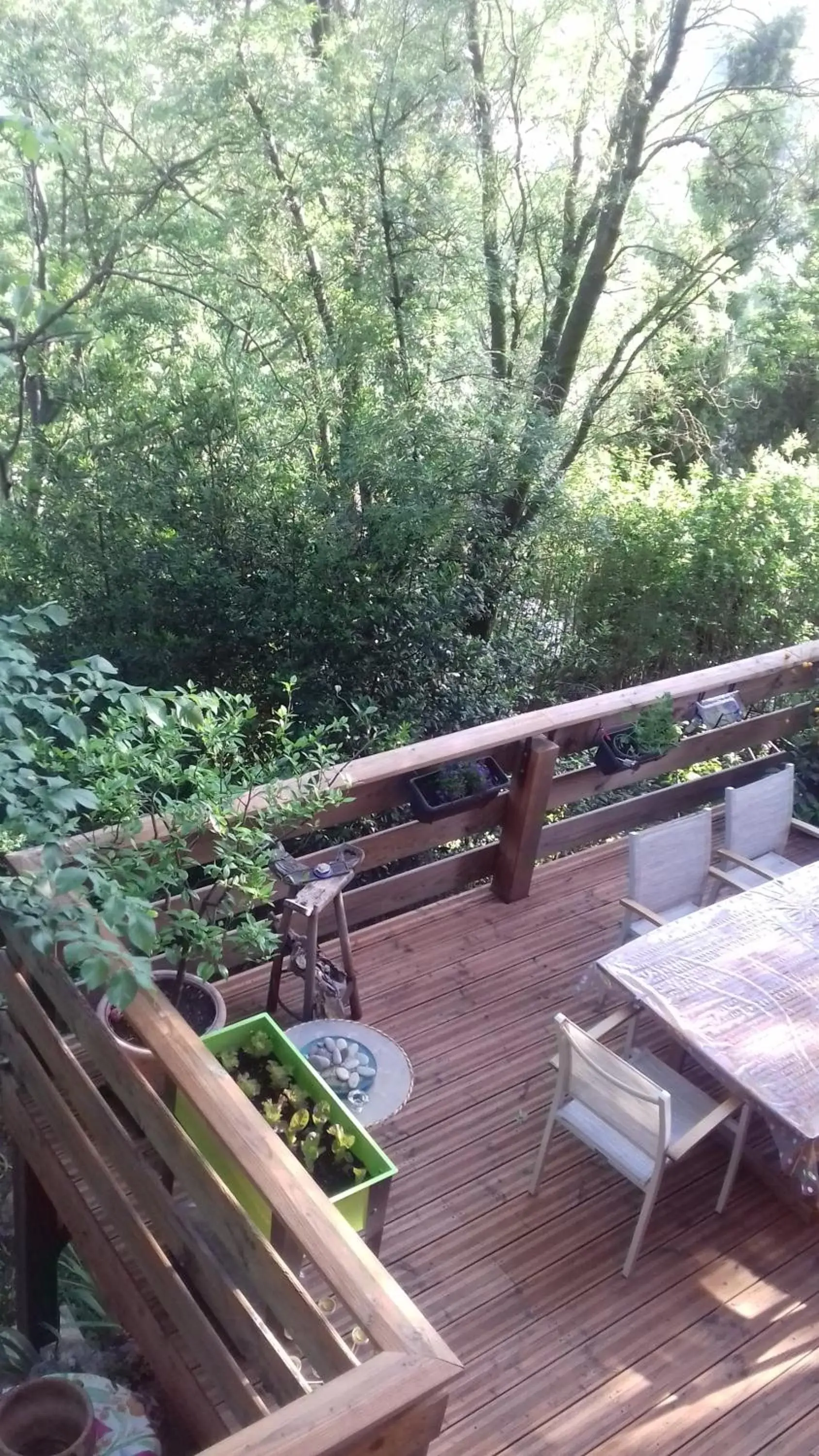 Garden, Balcony/Terrace in Chambres d'hôtes Le Bois Des Frênes