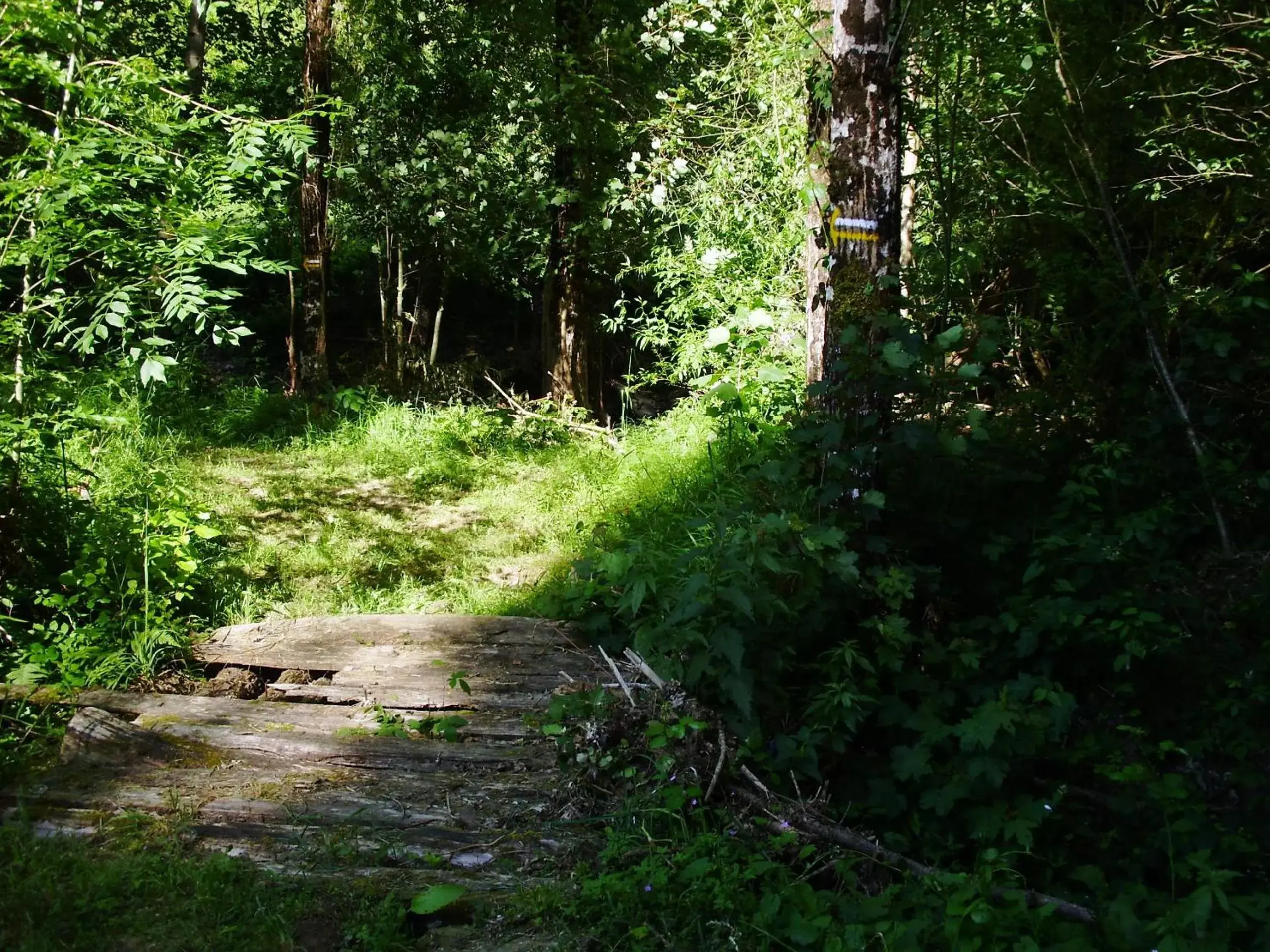 Hiking, Natural Landscape in Hotel Casa de Díaz