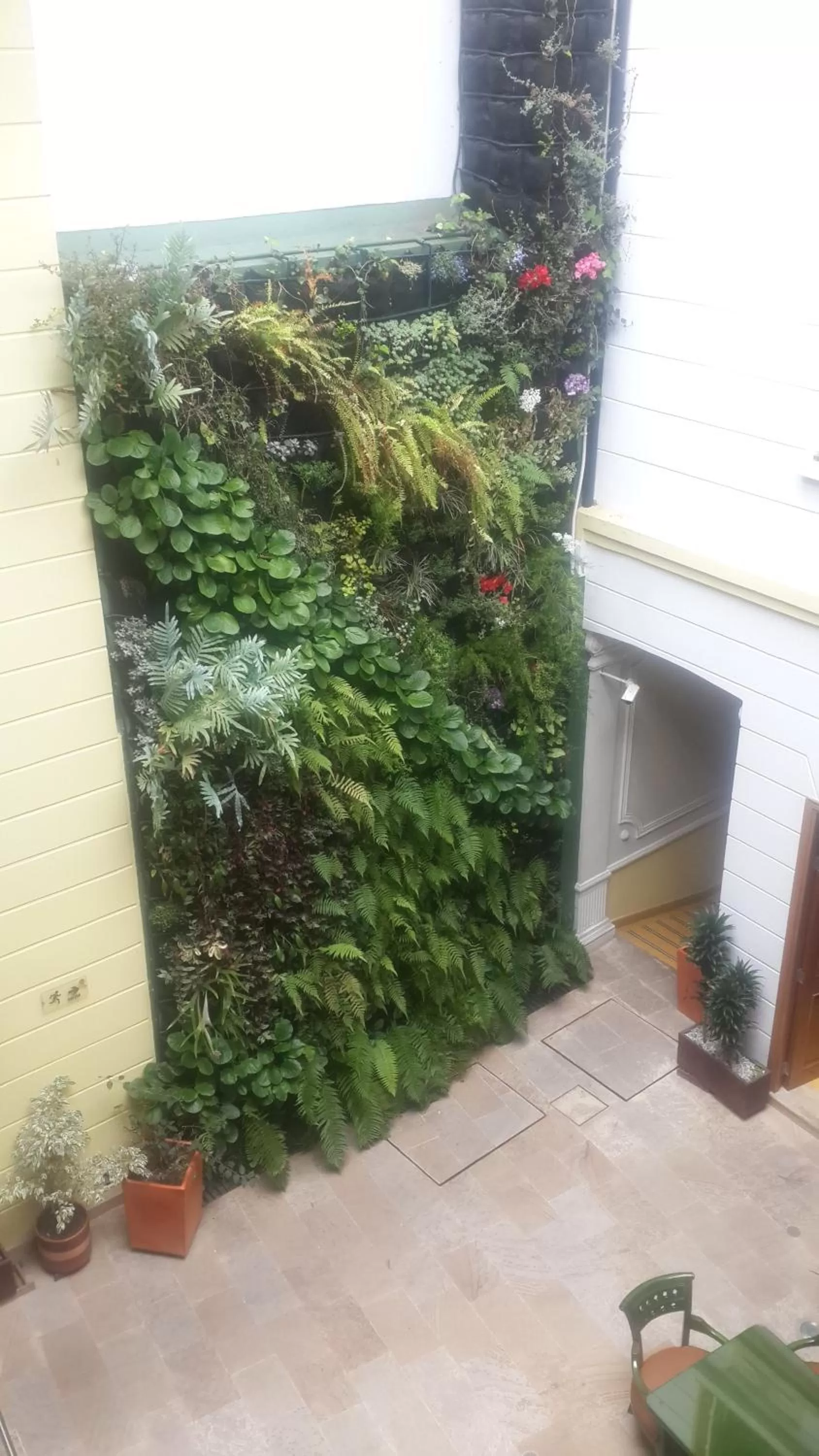 Area and facilities in Hotel Santa Lucia Boutique Spa