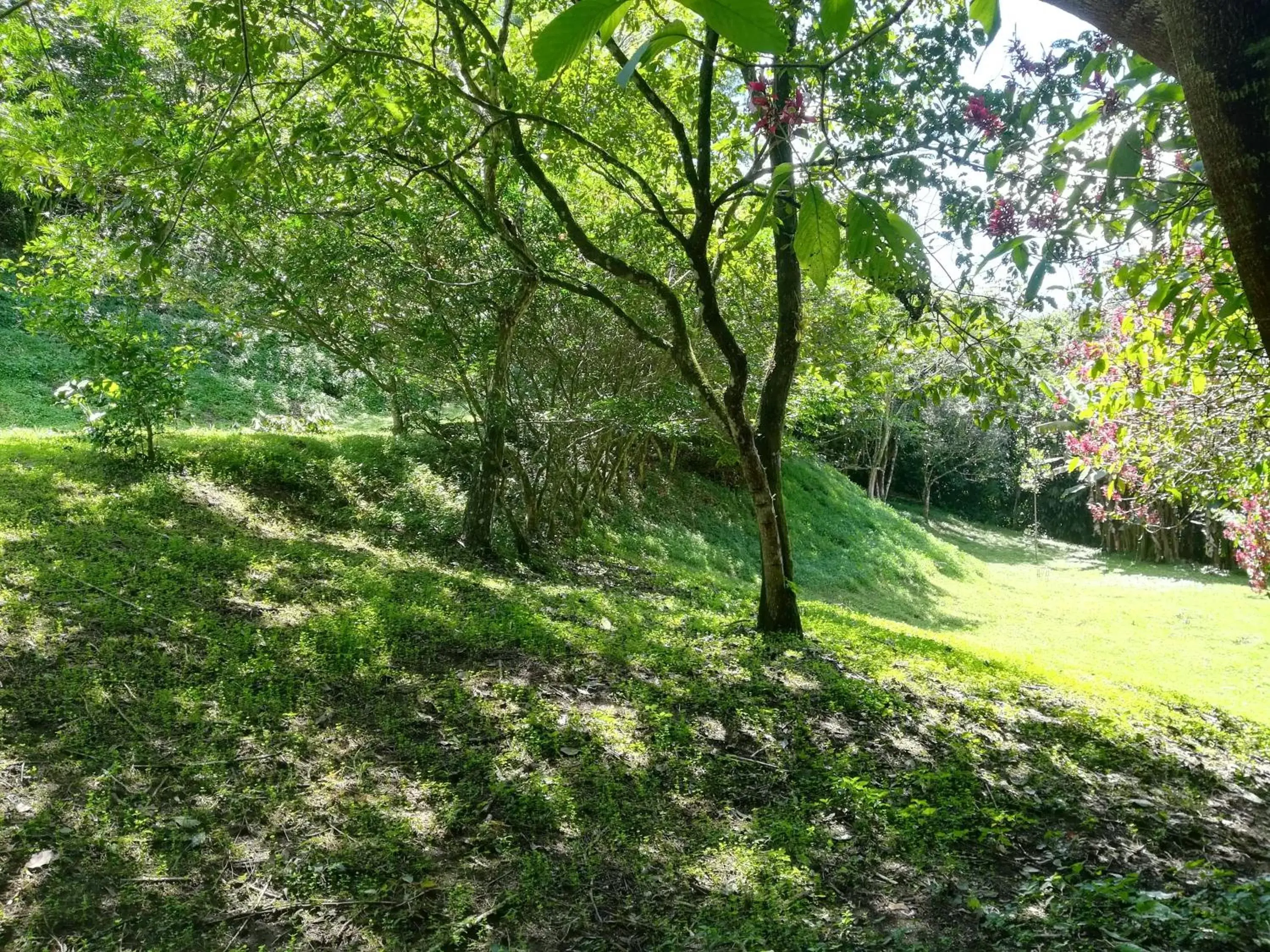 Natural landscape in Hotel Pibi Boreal