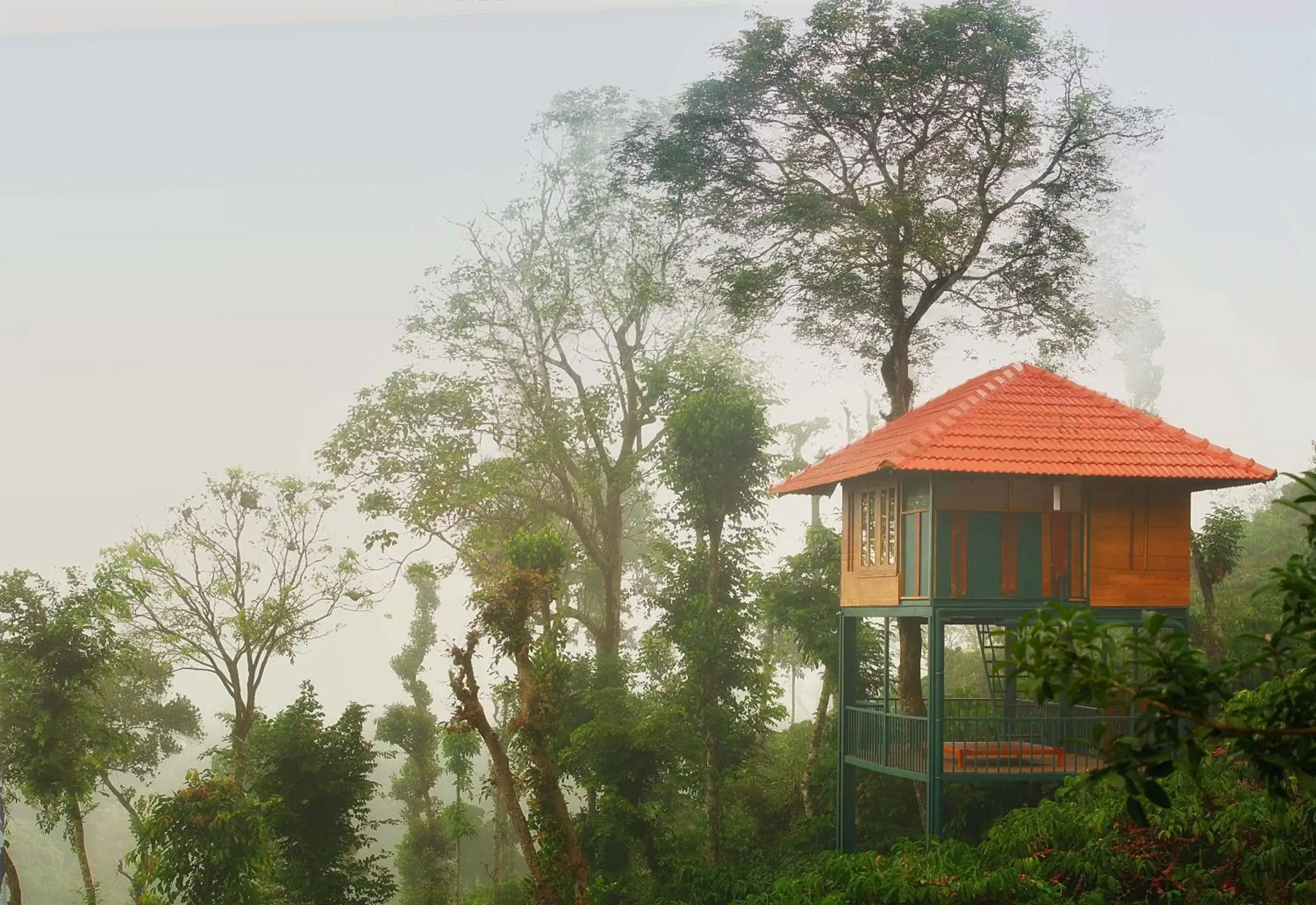 View (from property/room) in Marmalade Springs Resort Wayanad View (from property/room) in Marmalade Springs Resort Wayanad