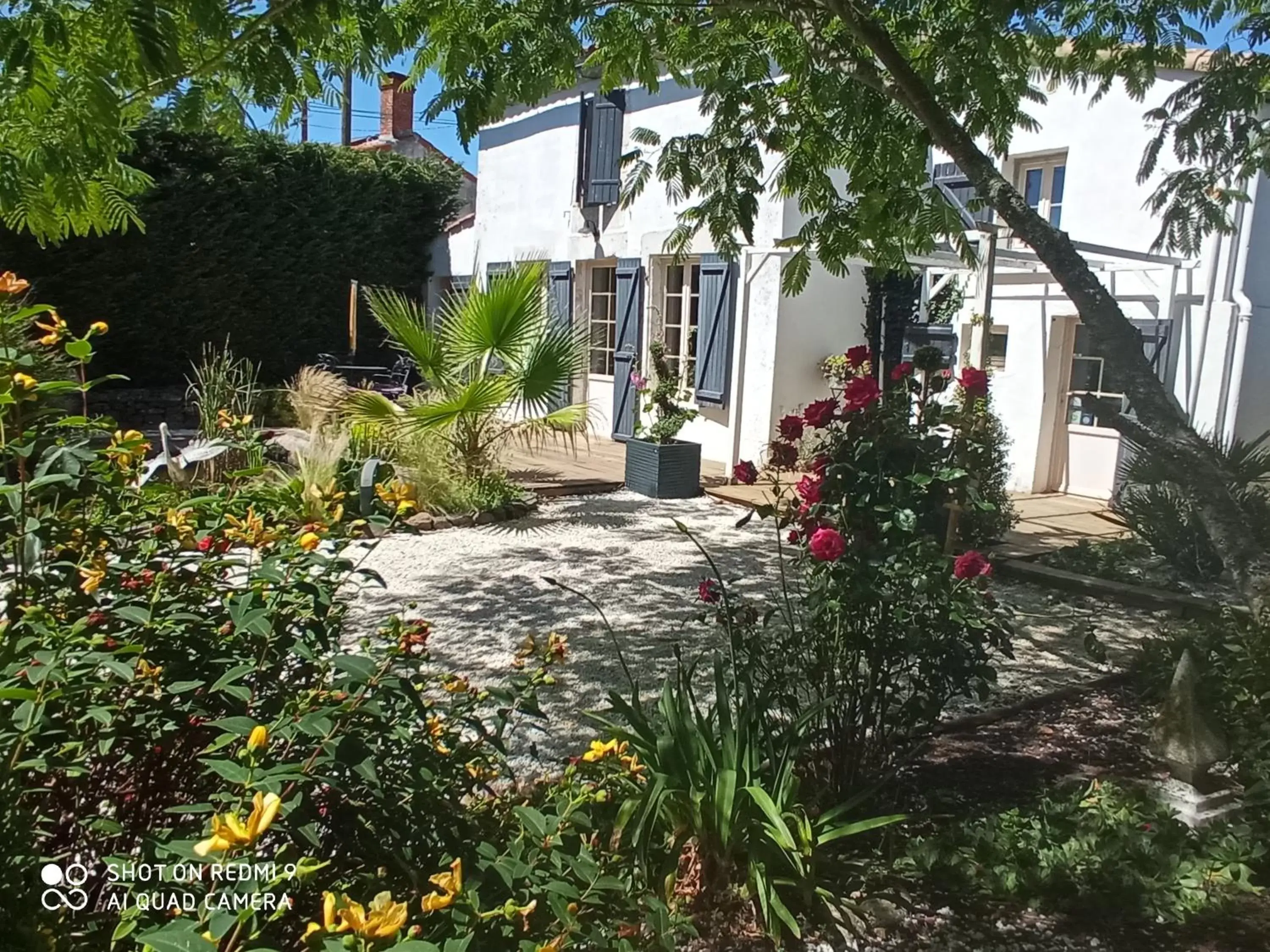 Garden, Property Building in Mas des Vignes Piscine chauffée